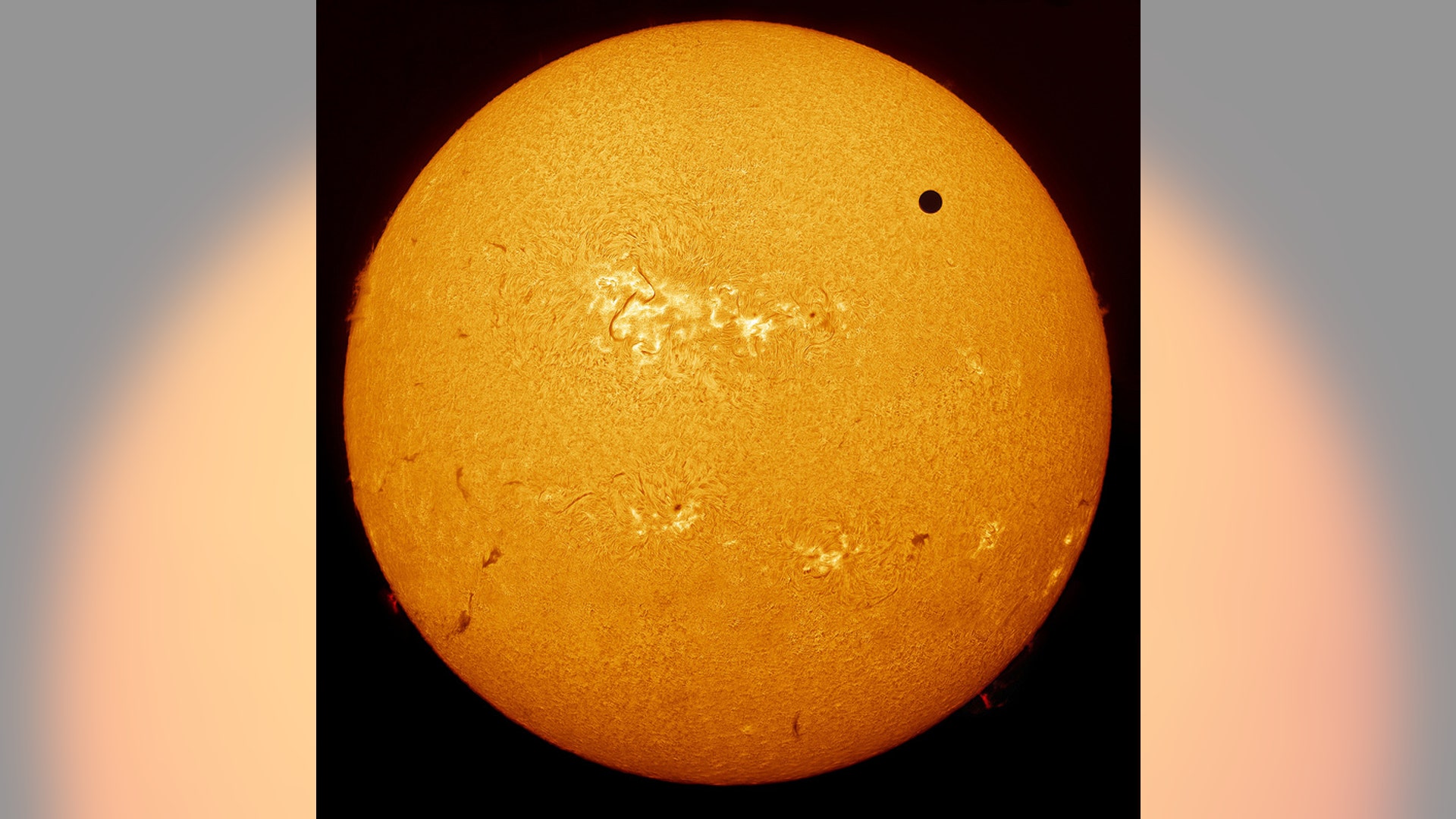 our_system_commended1