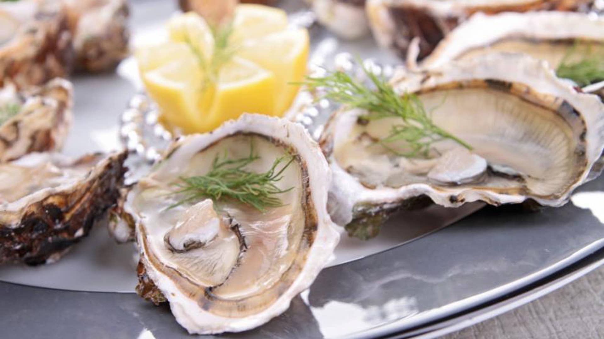 Oysters