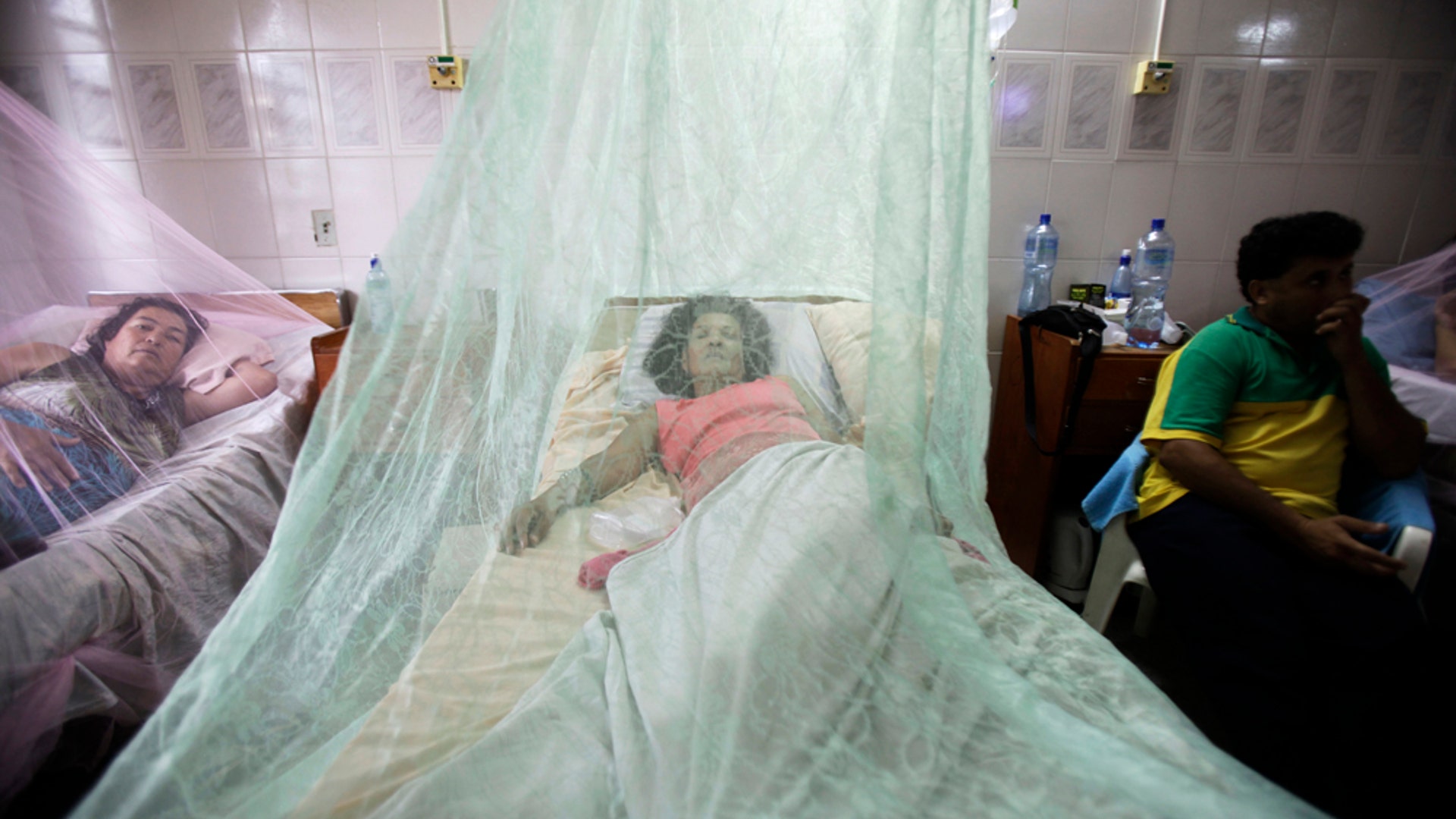 paraguay dengue five