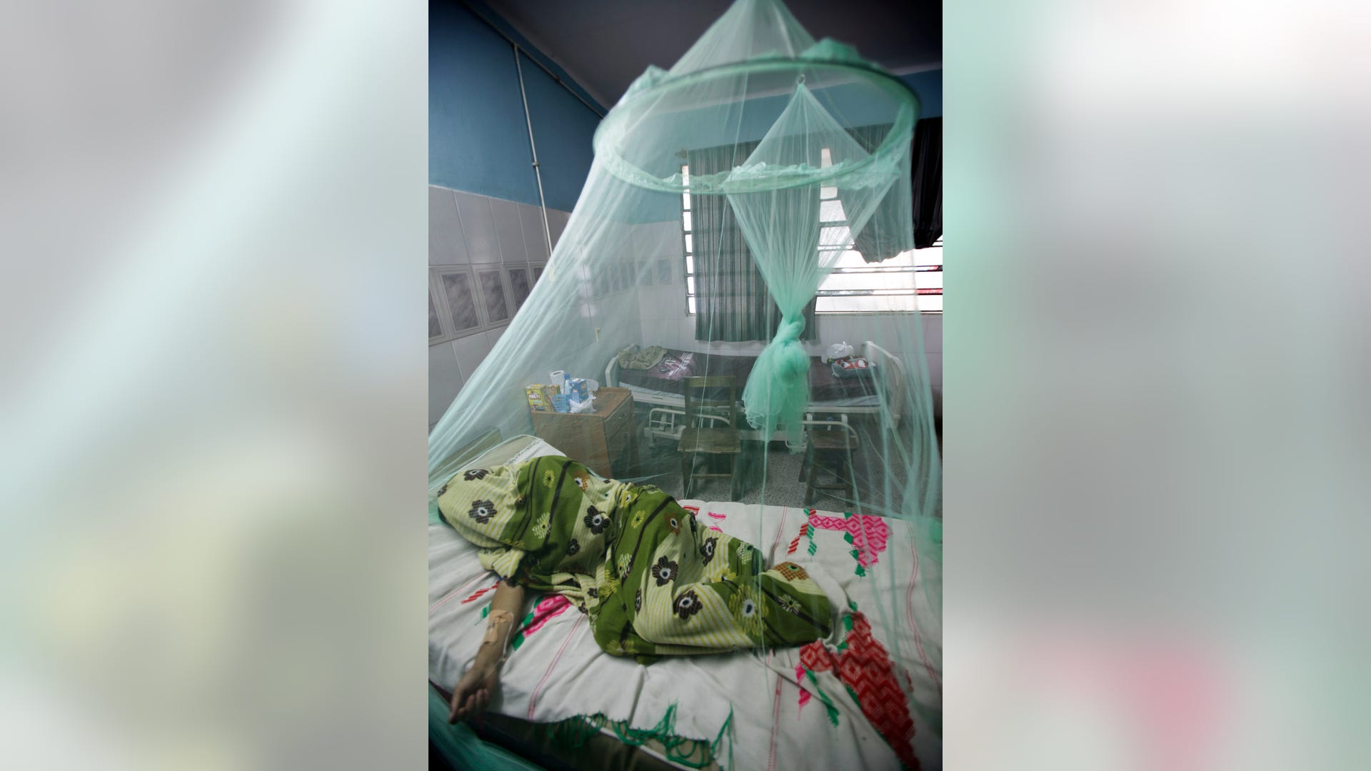 paraguay dengue four