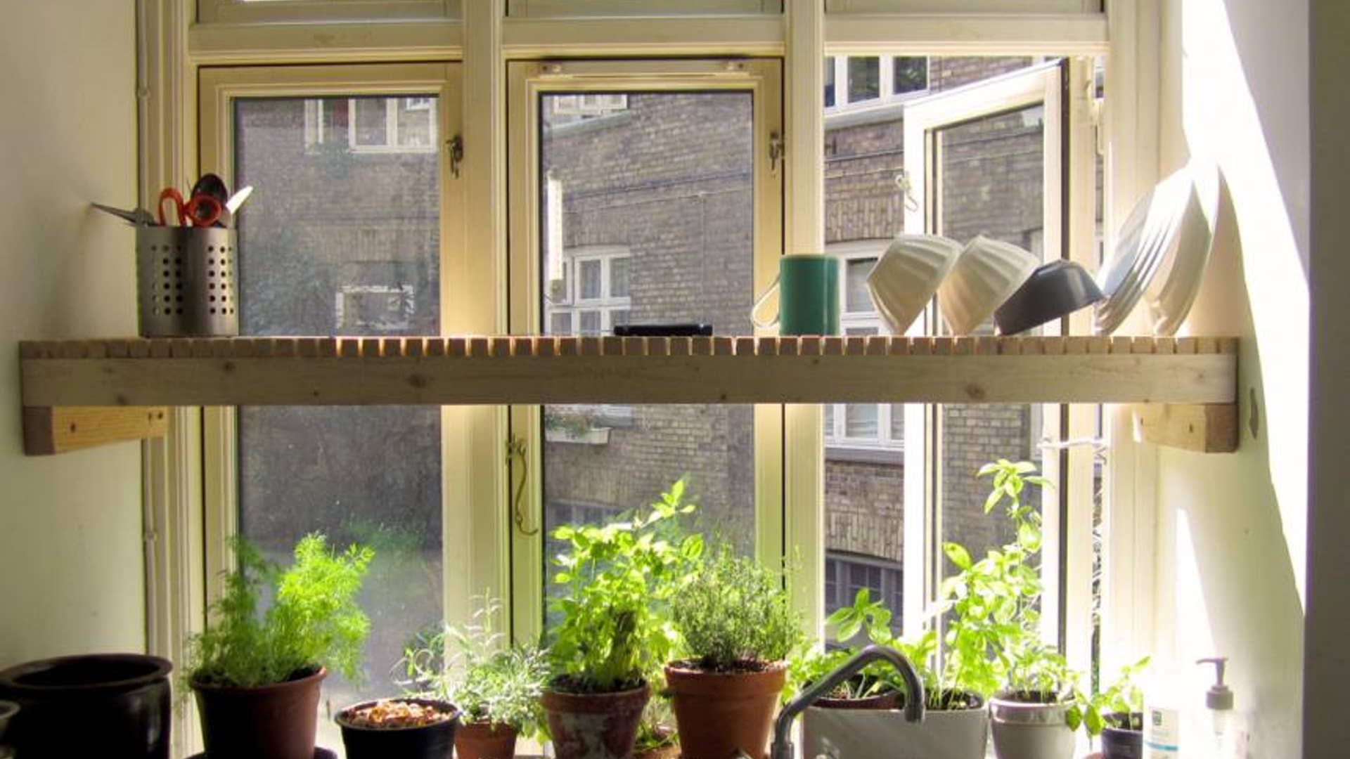 Over-the-Sink Dish Rack