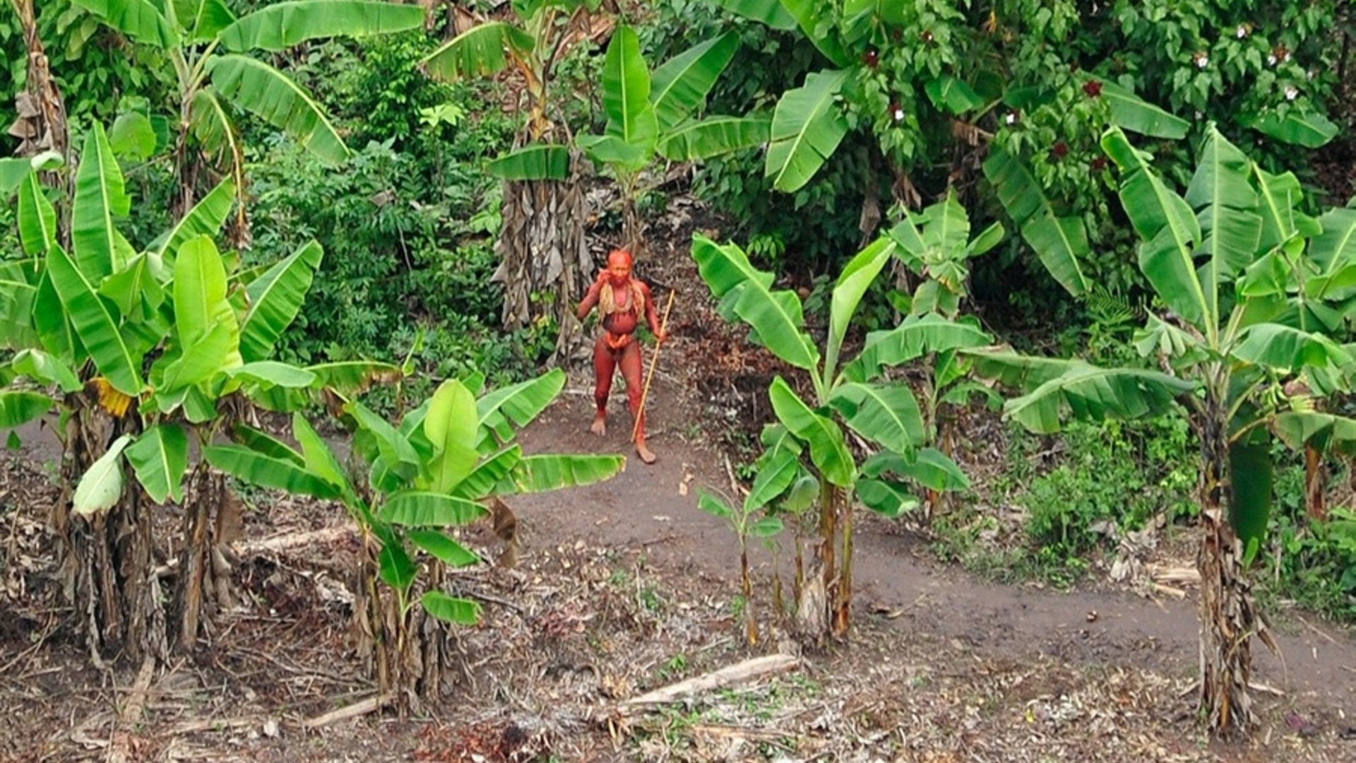 Uncontacted Brazilian Tribe