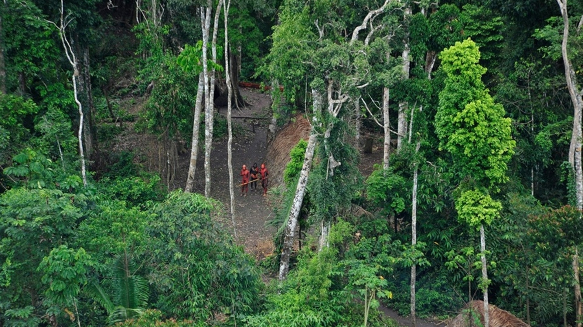 Uncontacted Brazilian Tribe