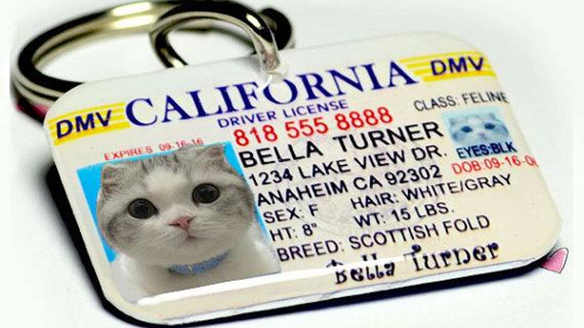 Pet License Tags