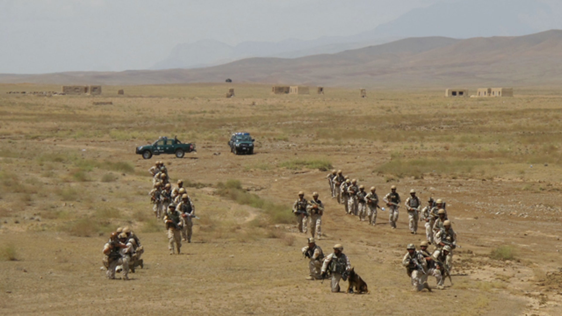 Afghan Security Forces