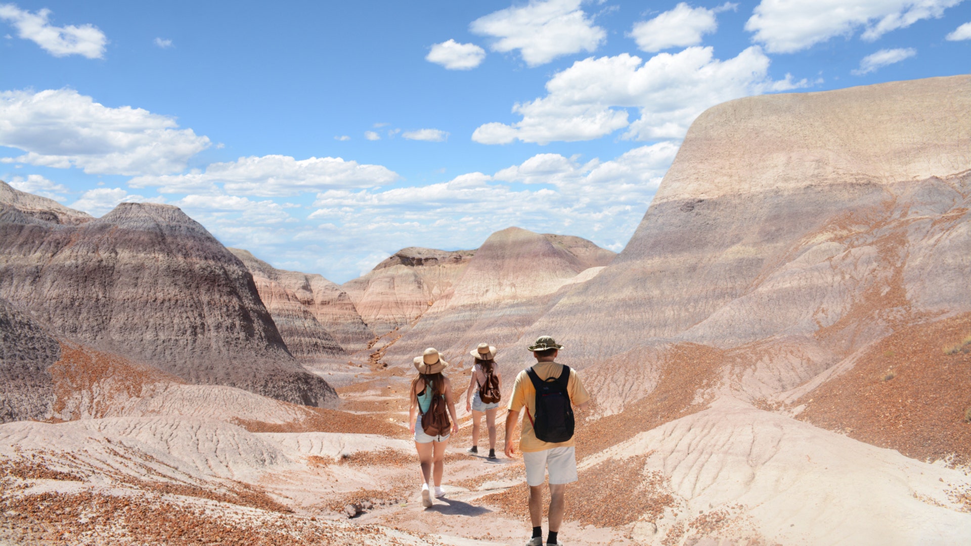 Petrified Forest National Park, AZ