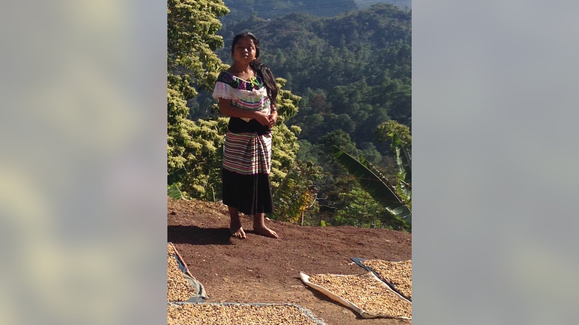 photo_1_chiapas_coffee__2_