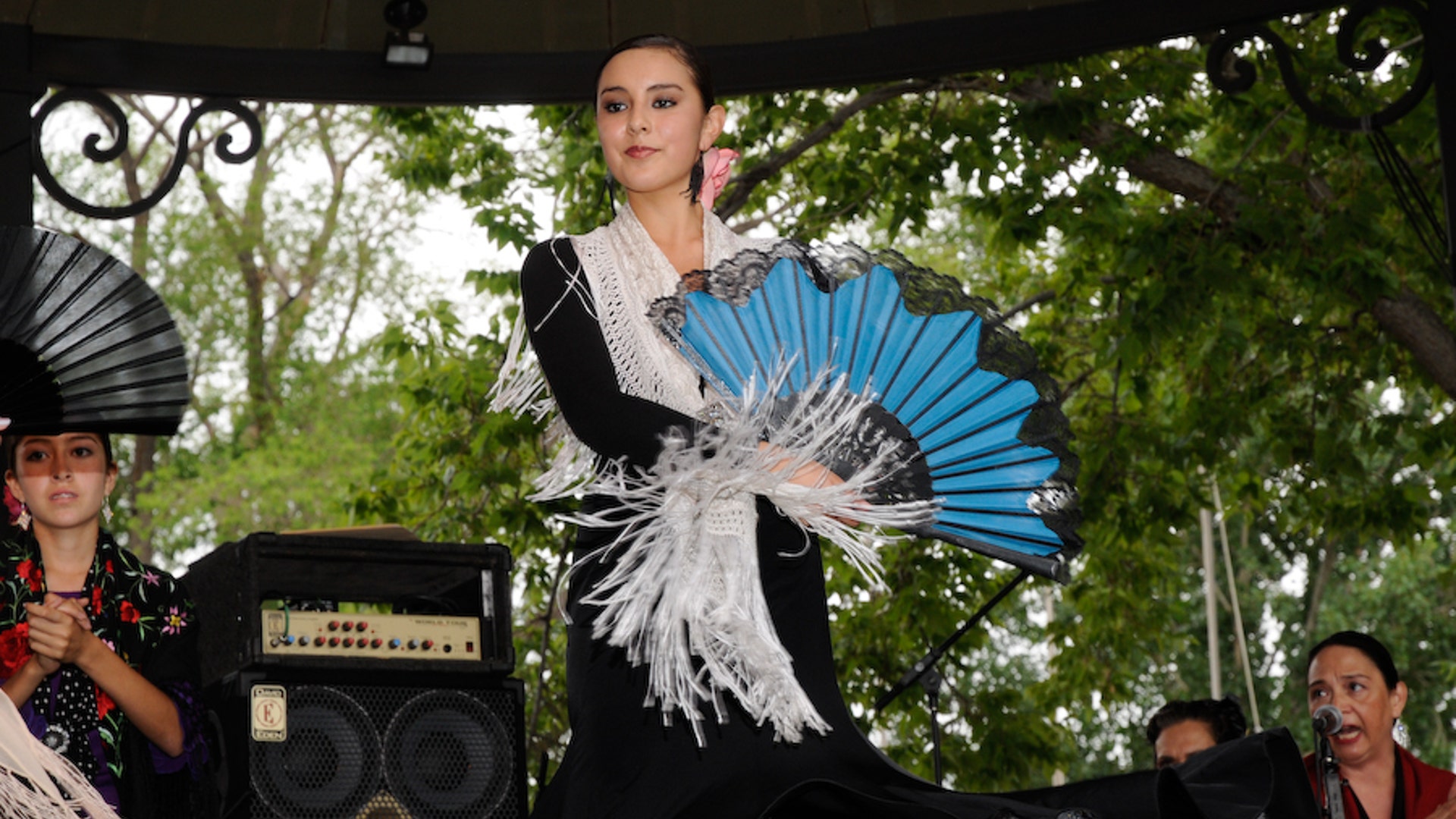 photo_Flamenco