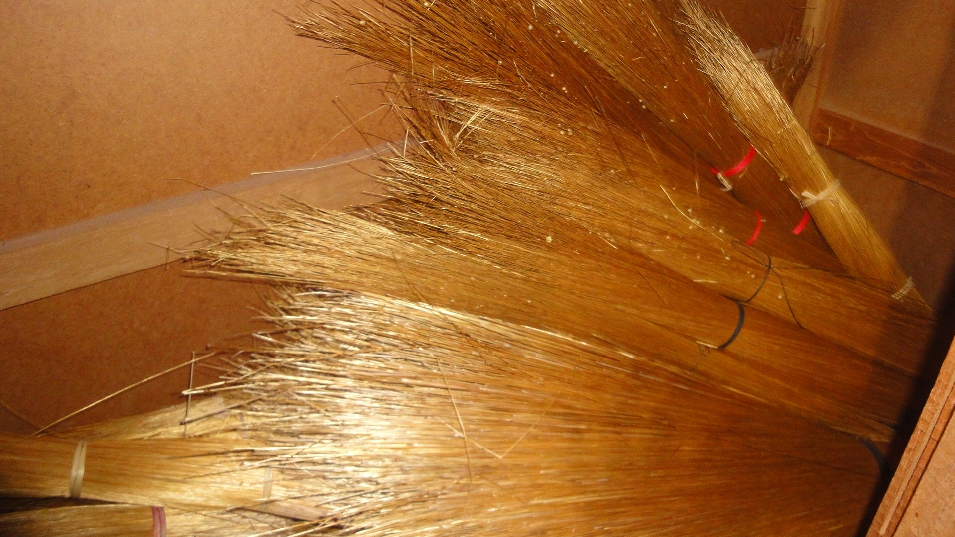 photo_courtesy_Rosely_Pacheco_2