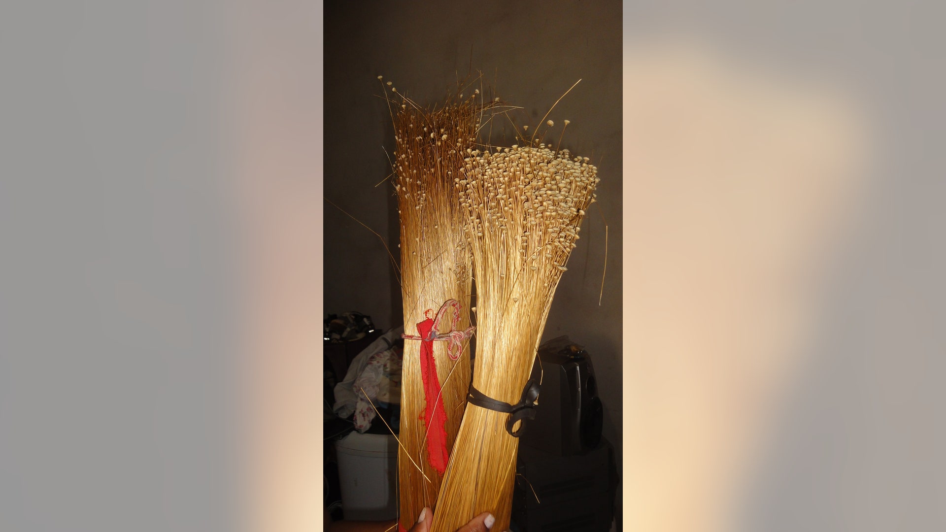 photo_courtesy_Rosely_Pacheco_4