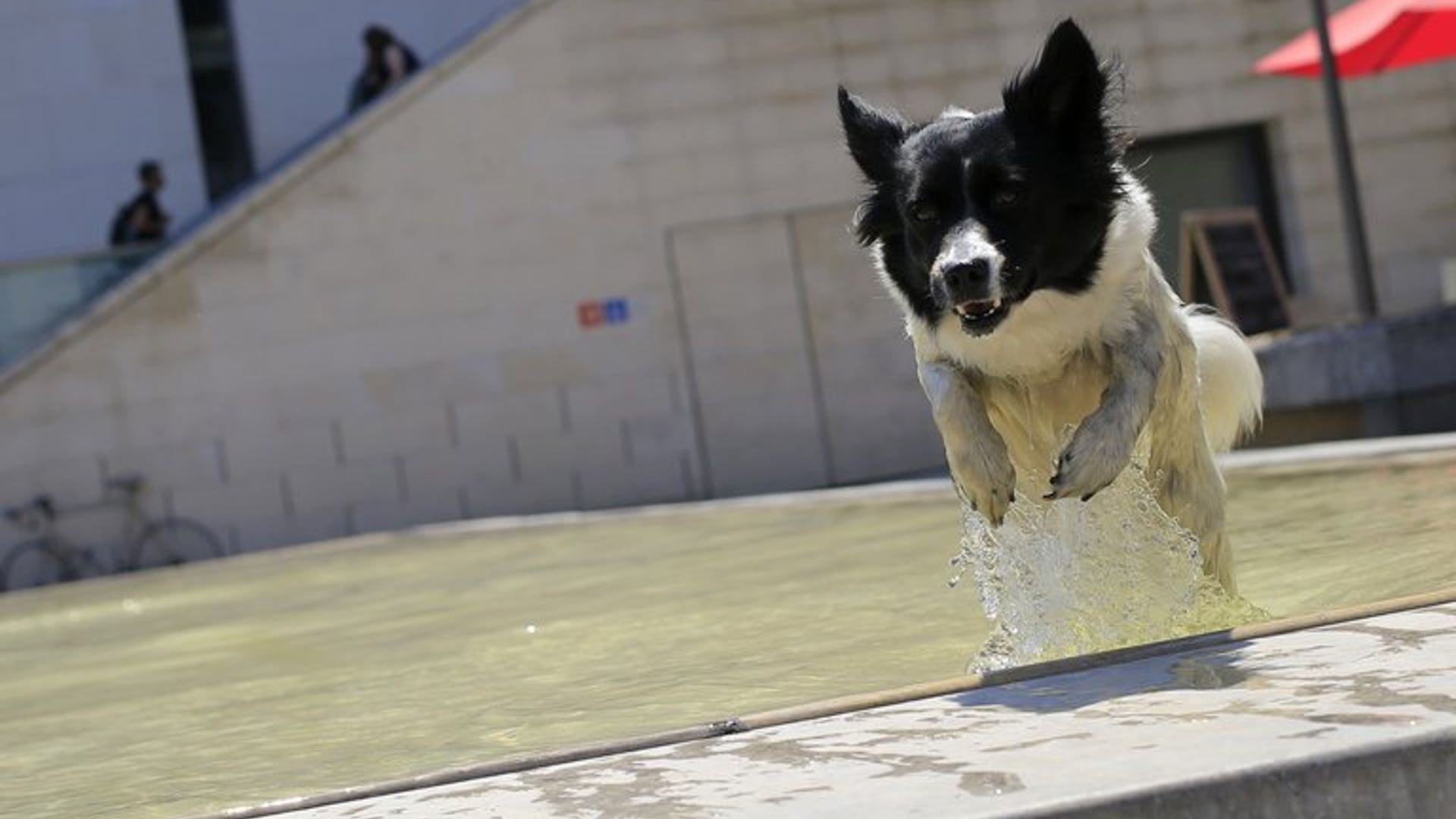 Keeping cool
