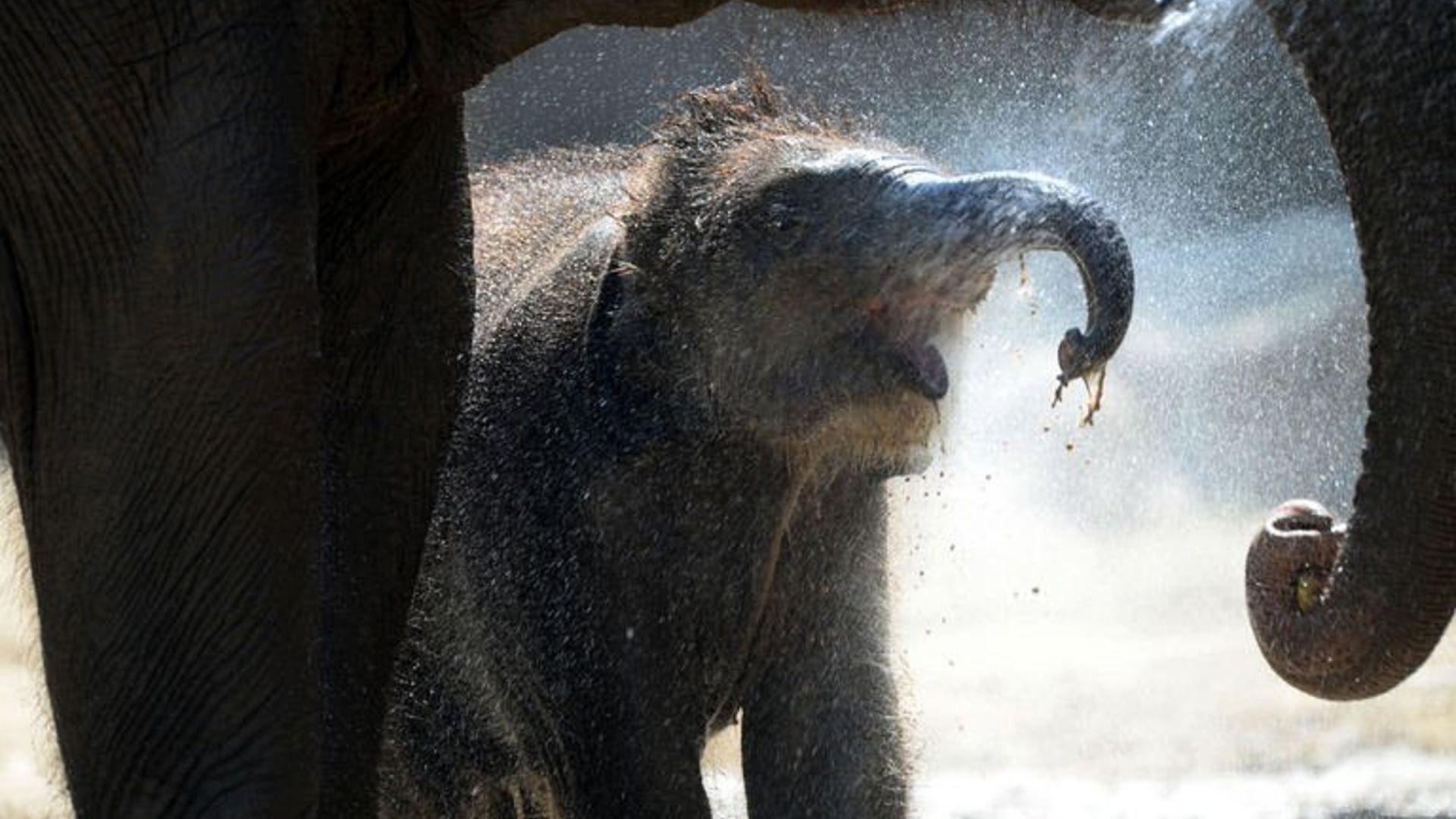 Shower time