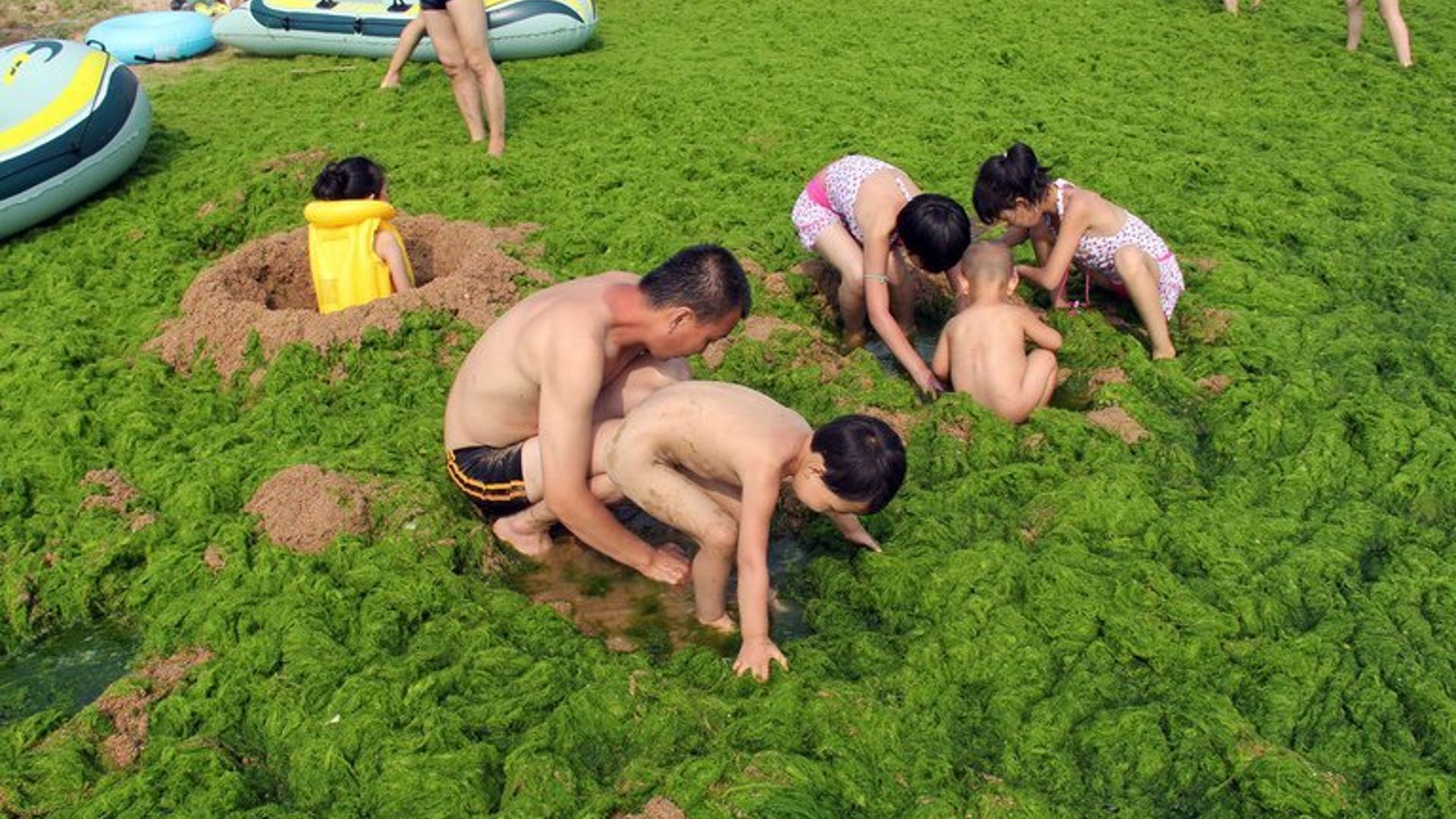 Green beach