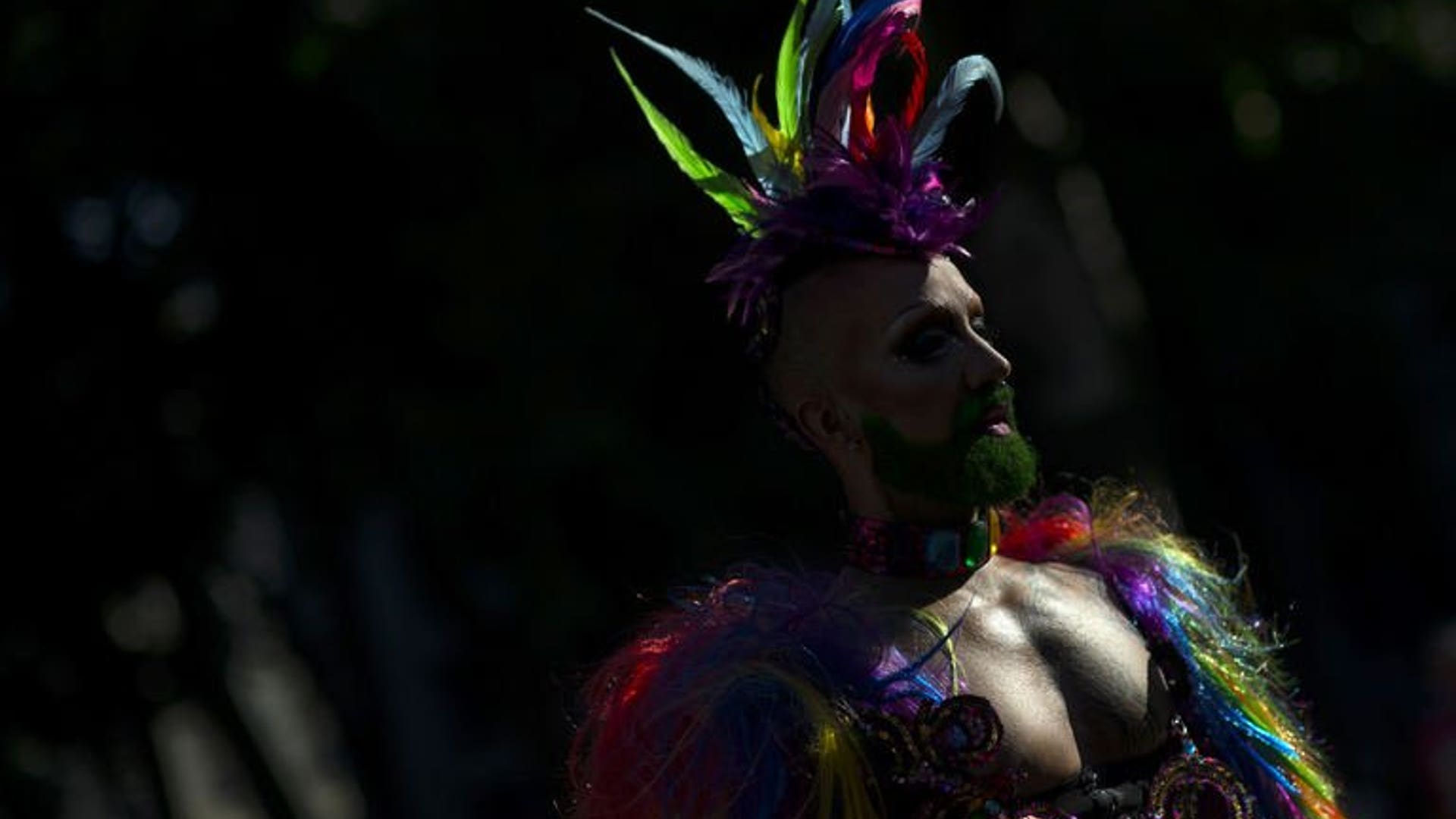 Pride feathers