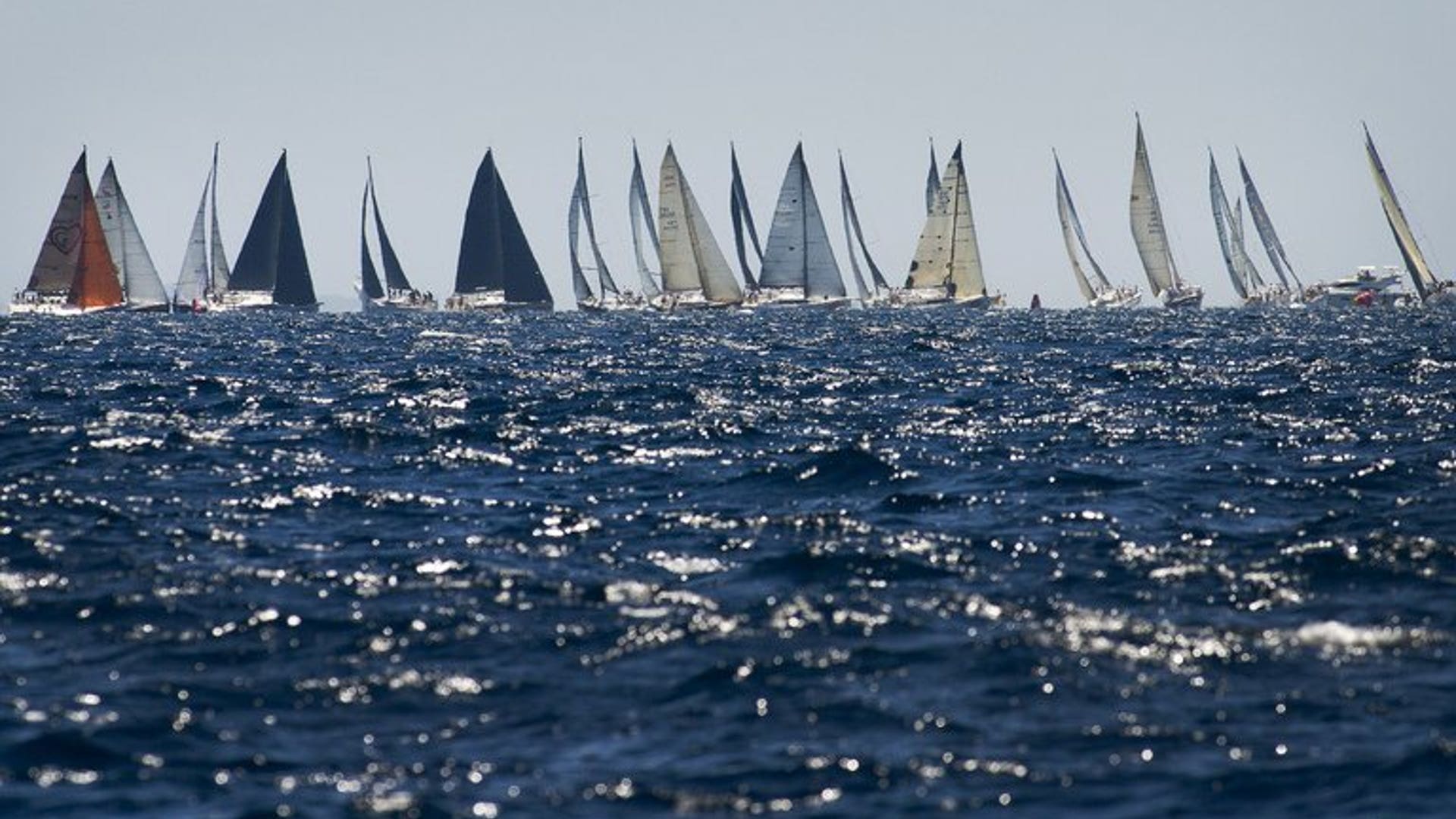 Regatta