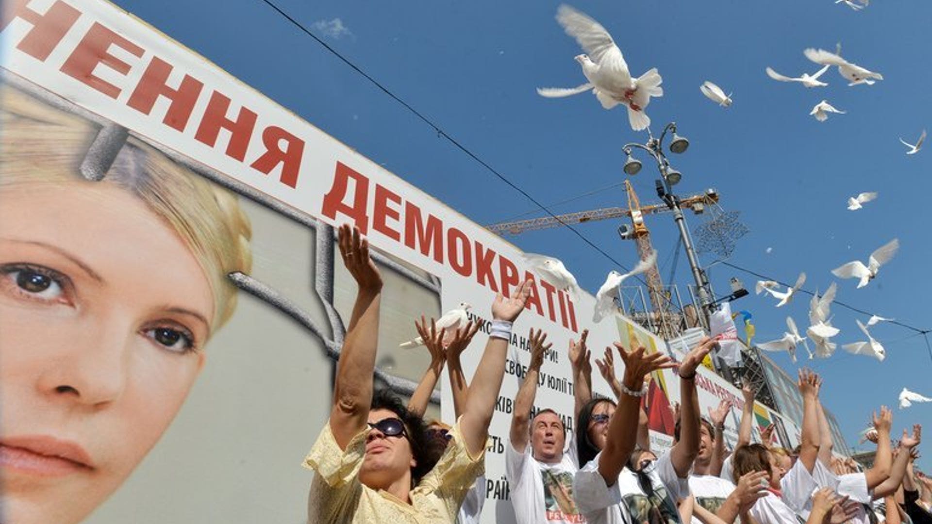 Kiev doves