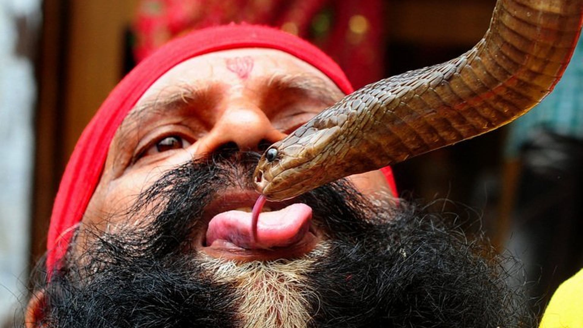 Nag Panchami