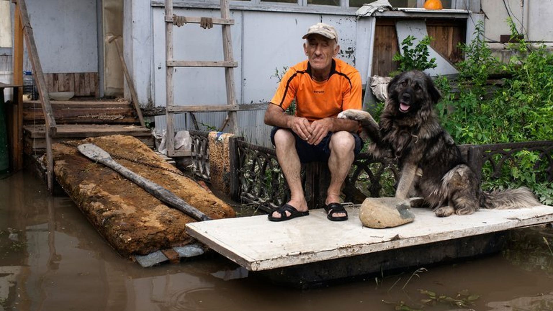 Man's best friend