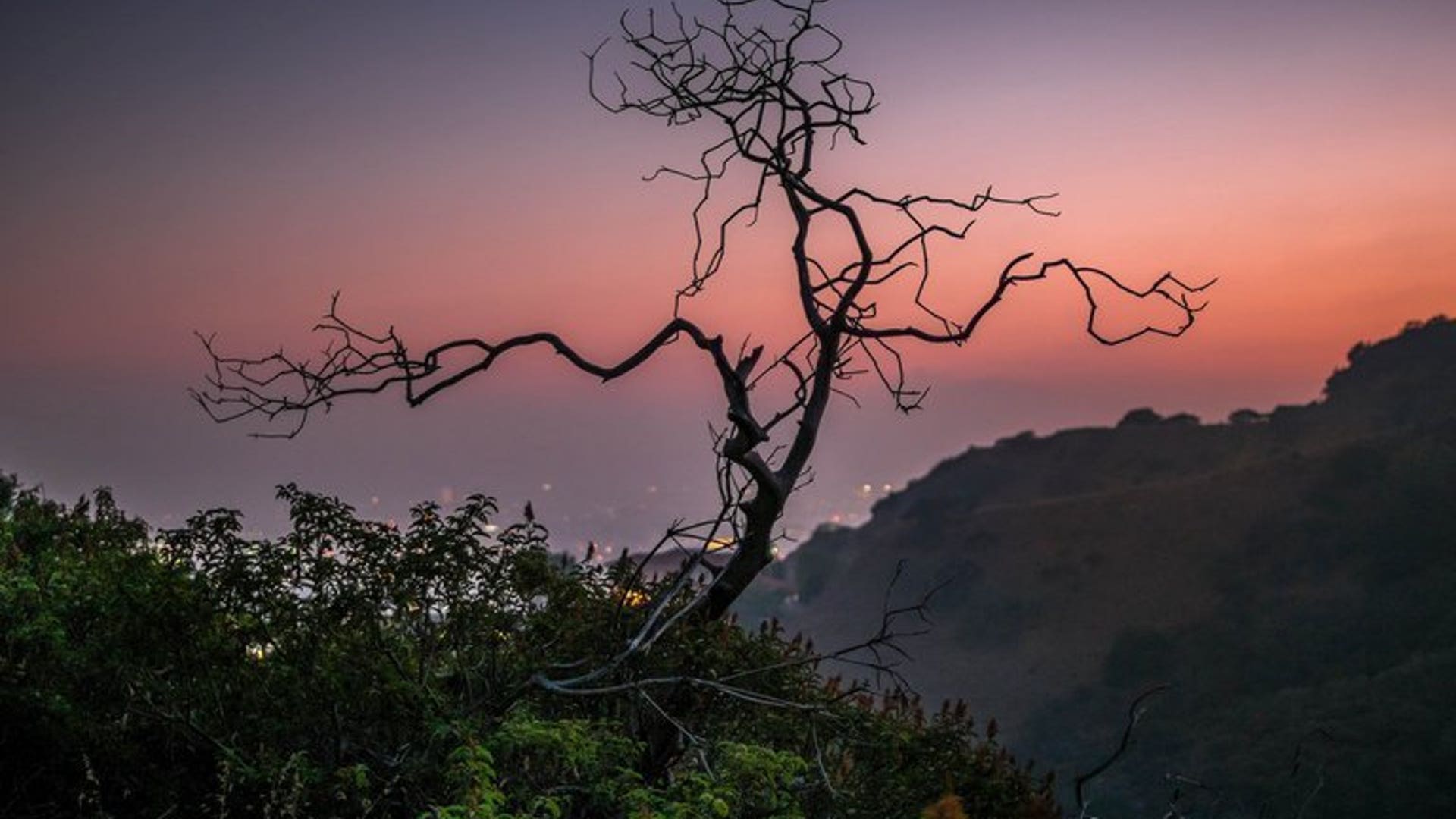 Twilight in Hollywood