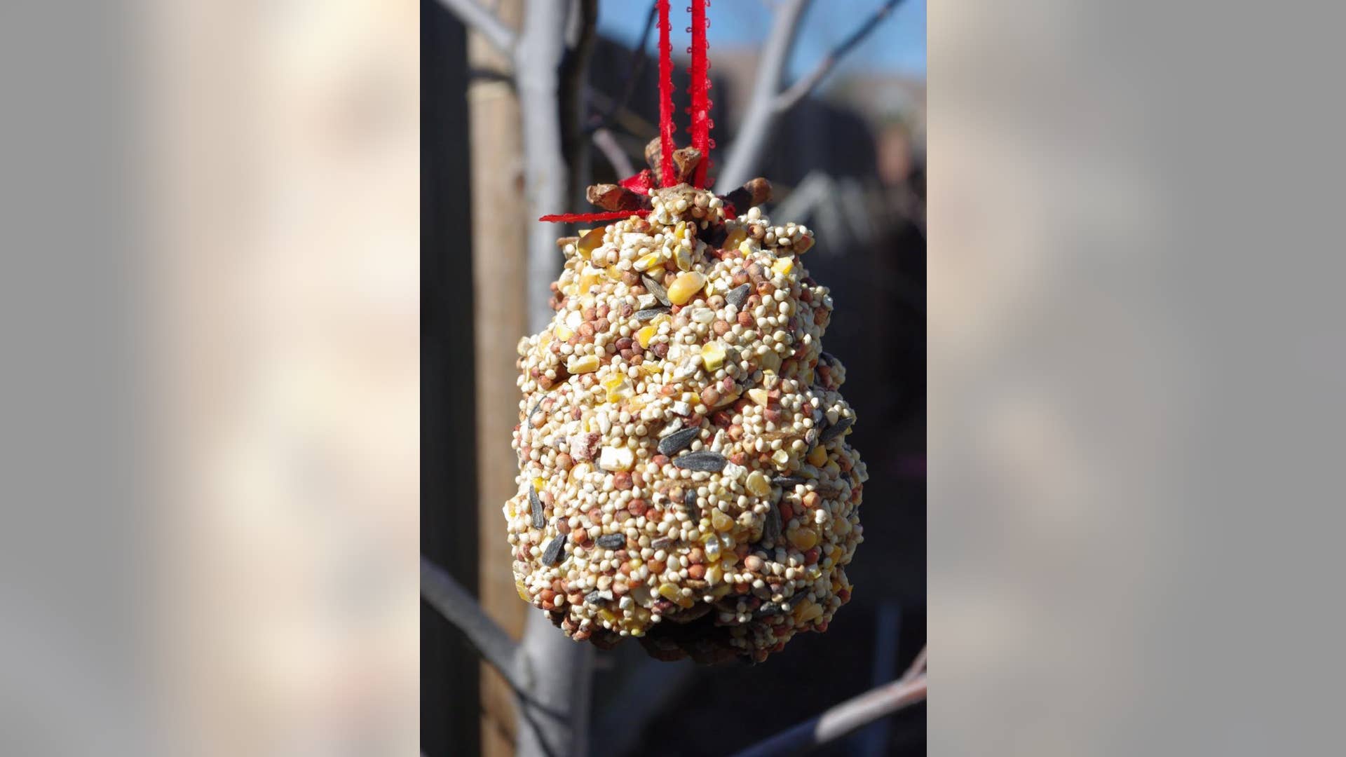 Pinecone Bird Feeder