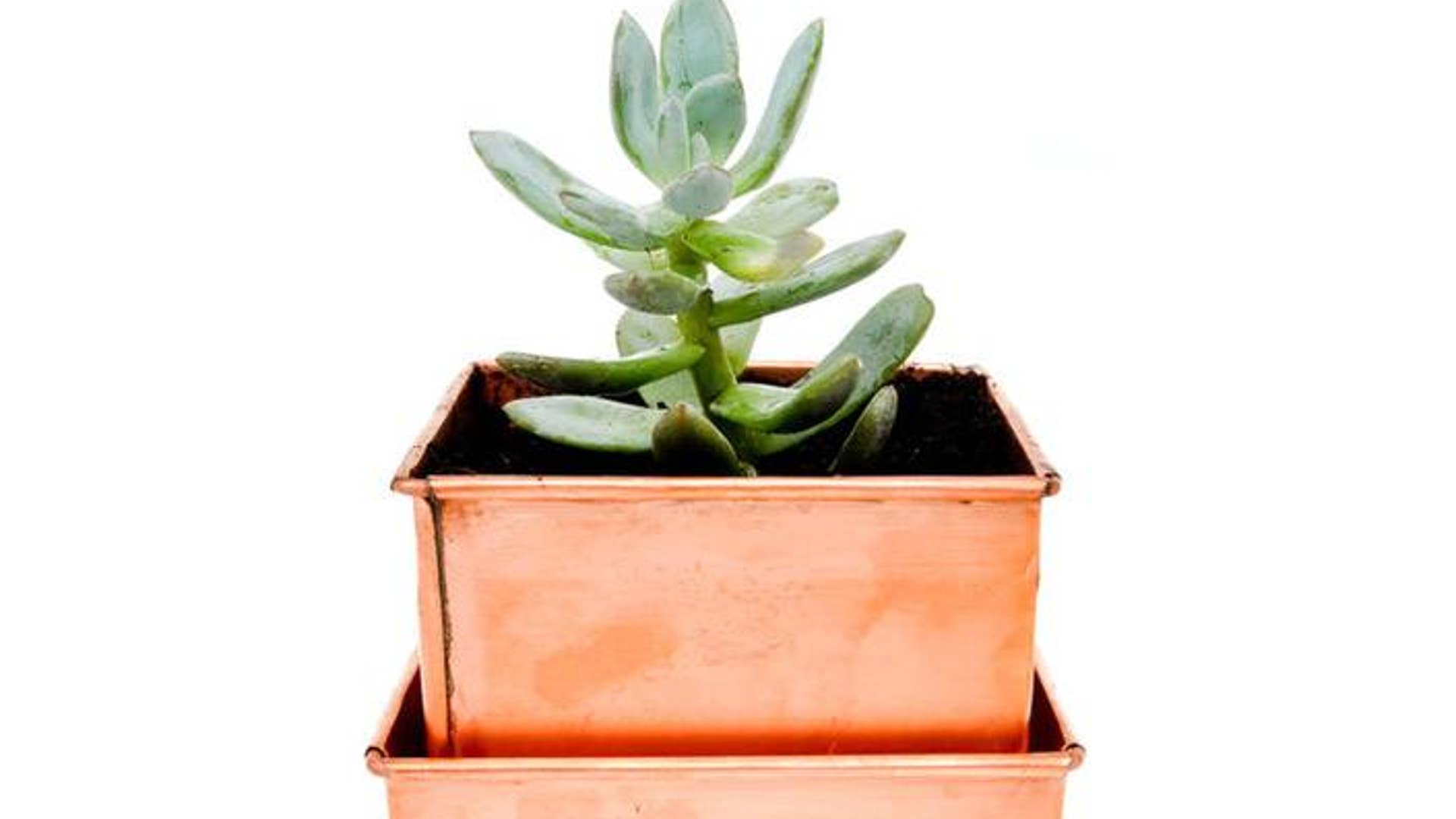 Copper Patina Planter
