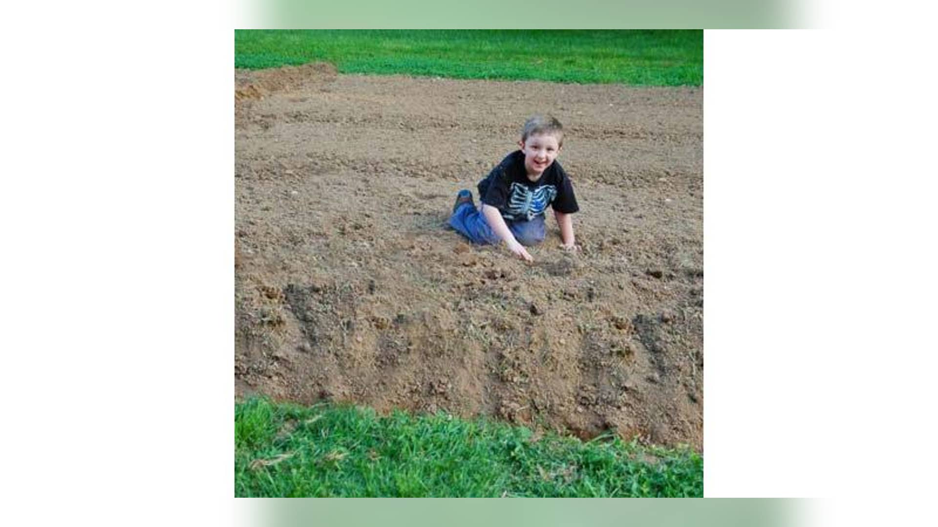 You Never Planted a Garden