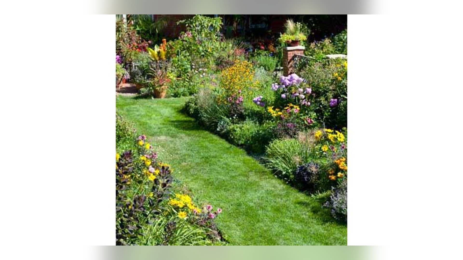 Keep Plants Hydrated