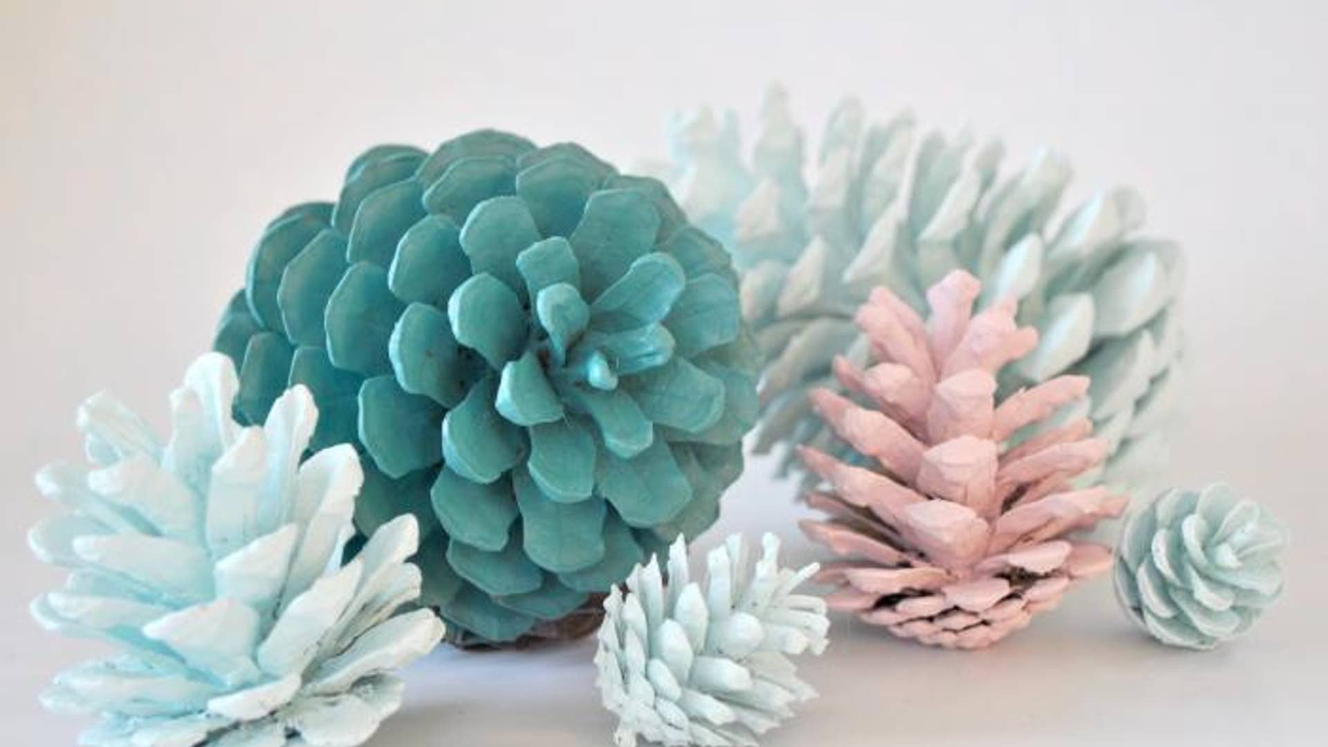 Pretty Painted Pinecones