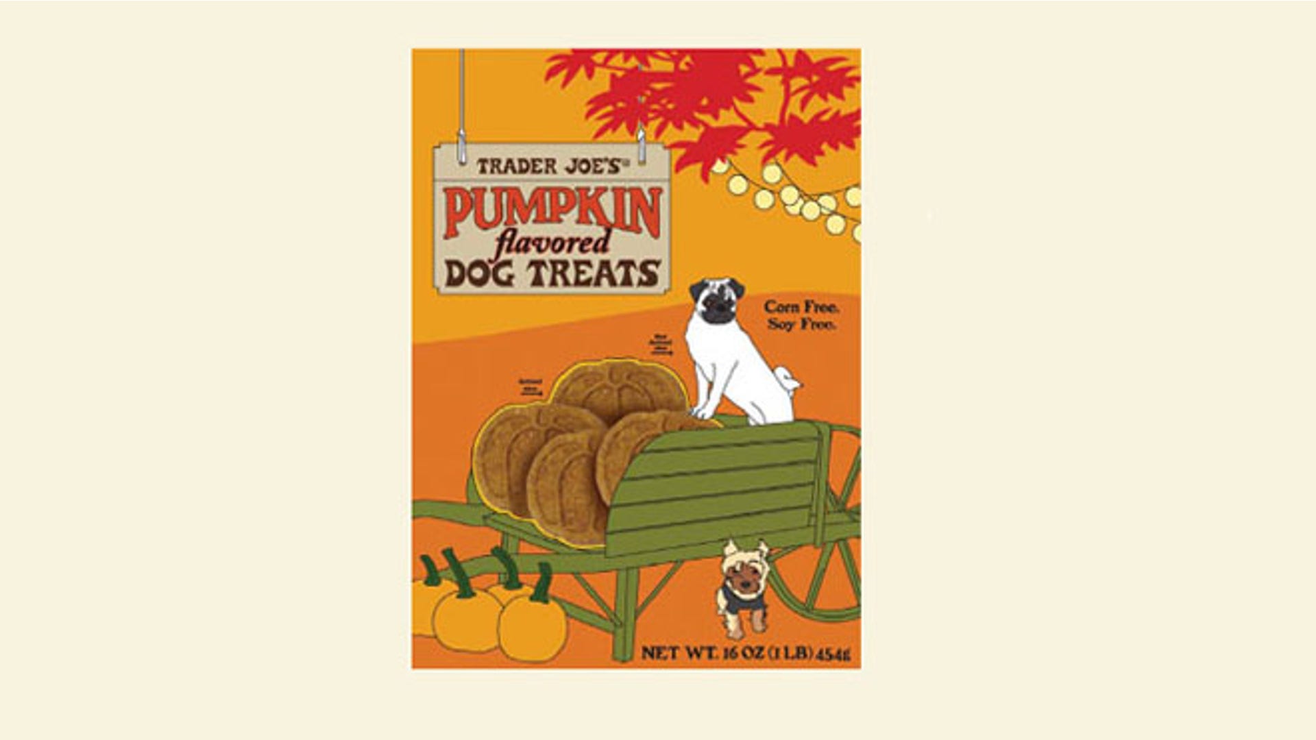 pumpkindogtreats