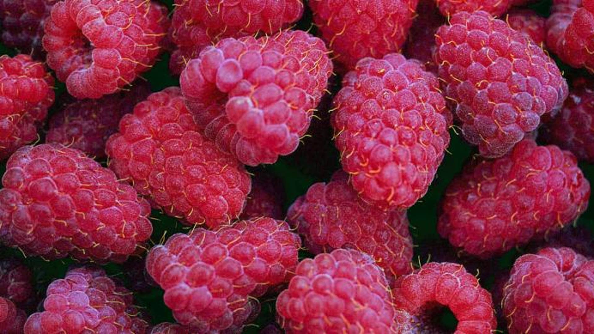 The 6 Healthiest Berries for Women’s Hearts | Fox News