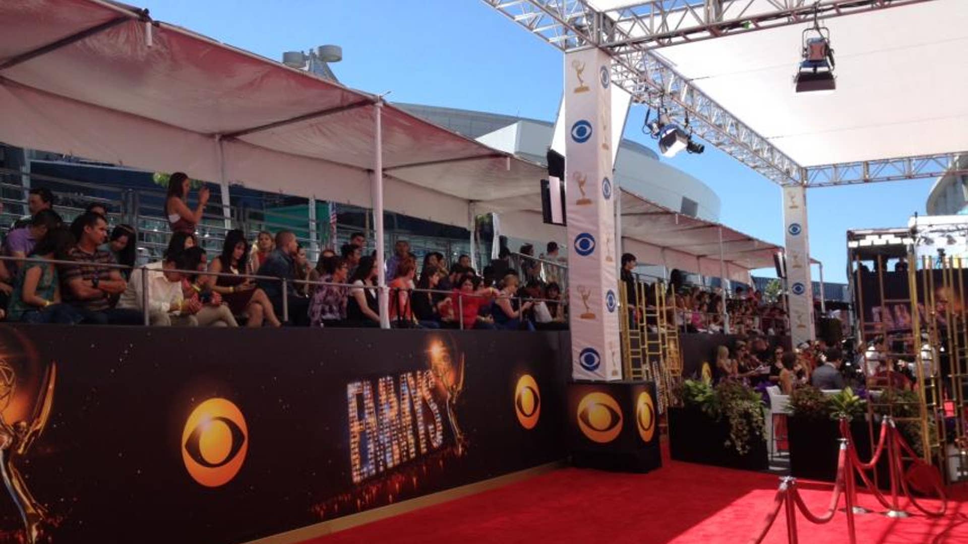 View from the Red Carpet