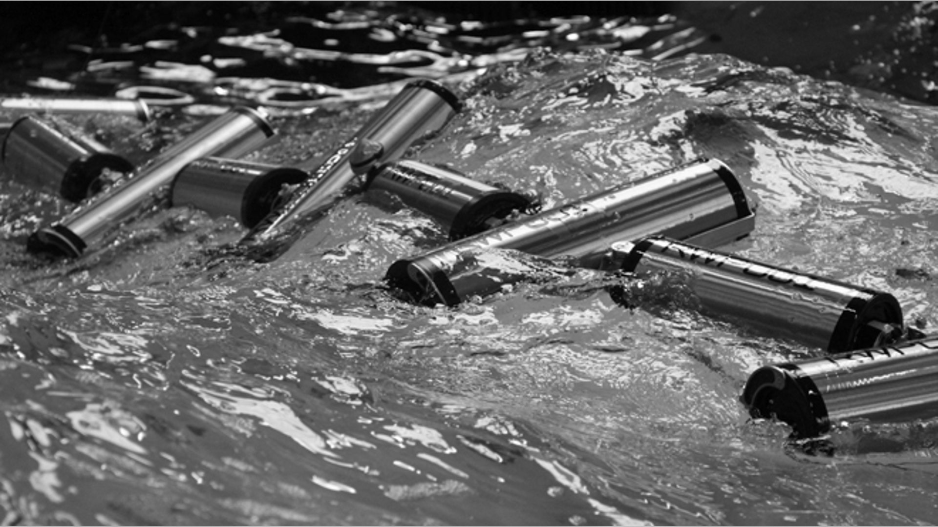 <b>Renewable Wave Power (UK)</b>