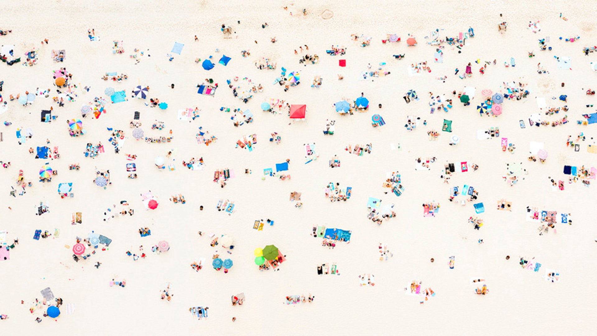 The Red Canopy - Up in the Air