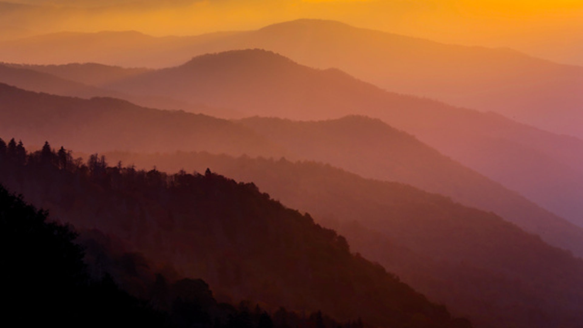 Great Smoky Mountains National Park