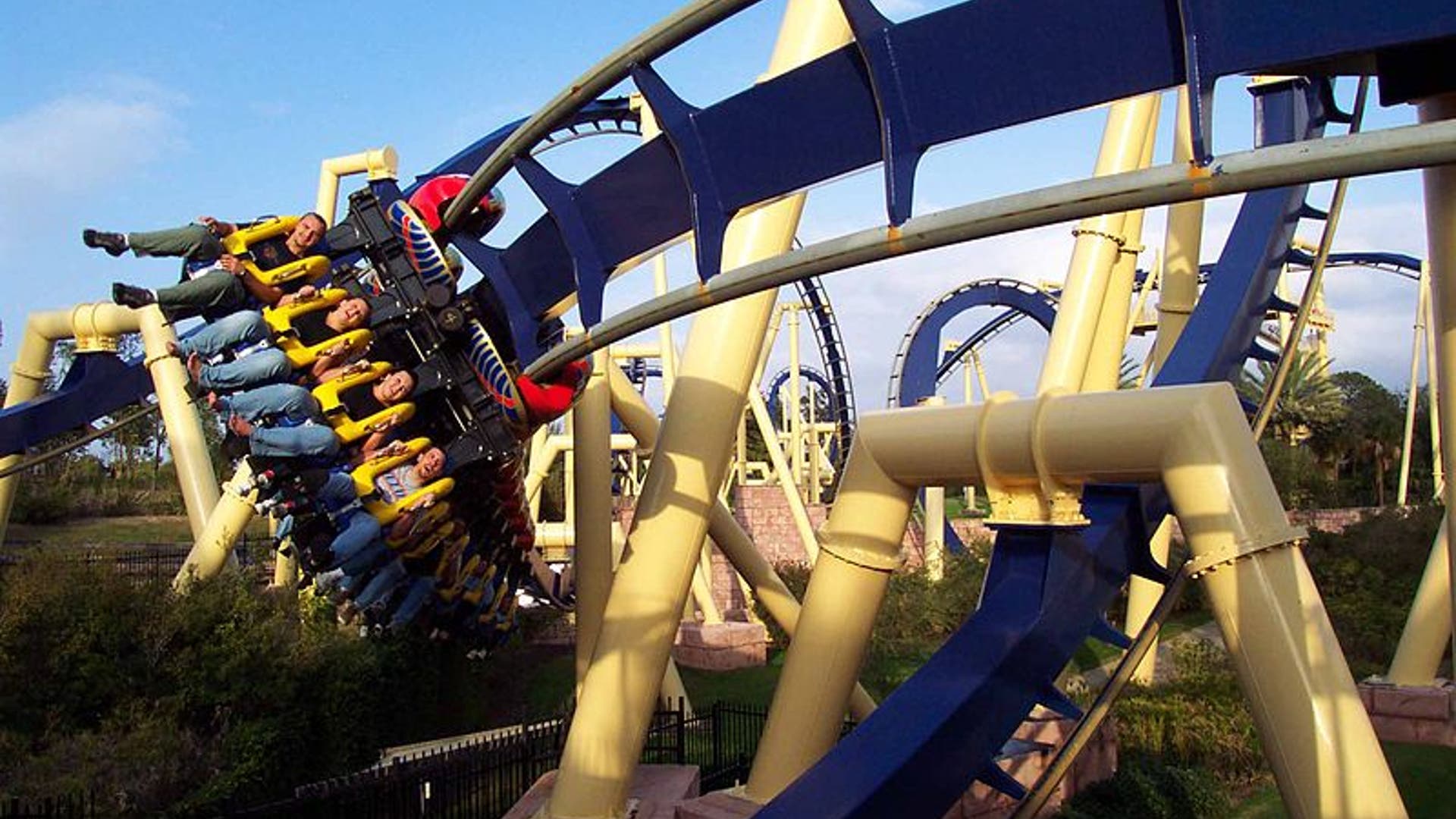 Medicine Prize 2010: Rollercoaster