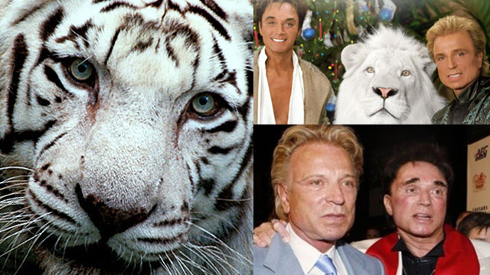 Siegfried and Roy 