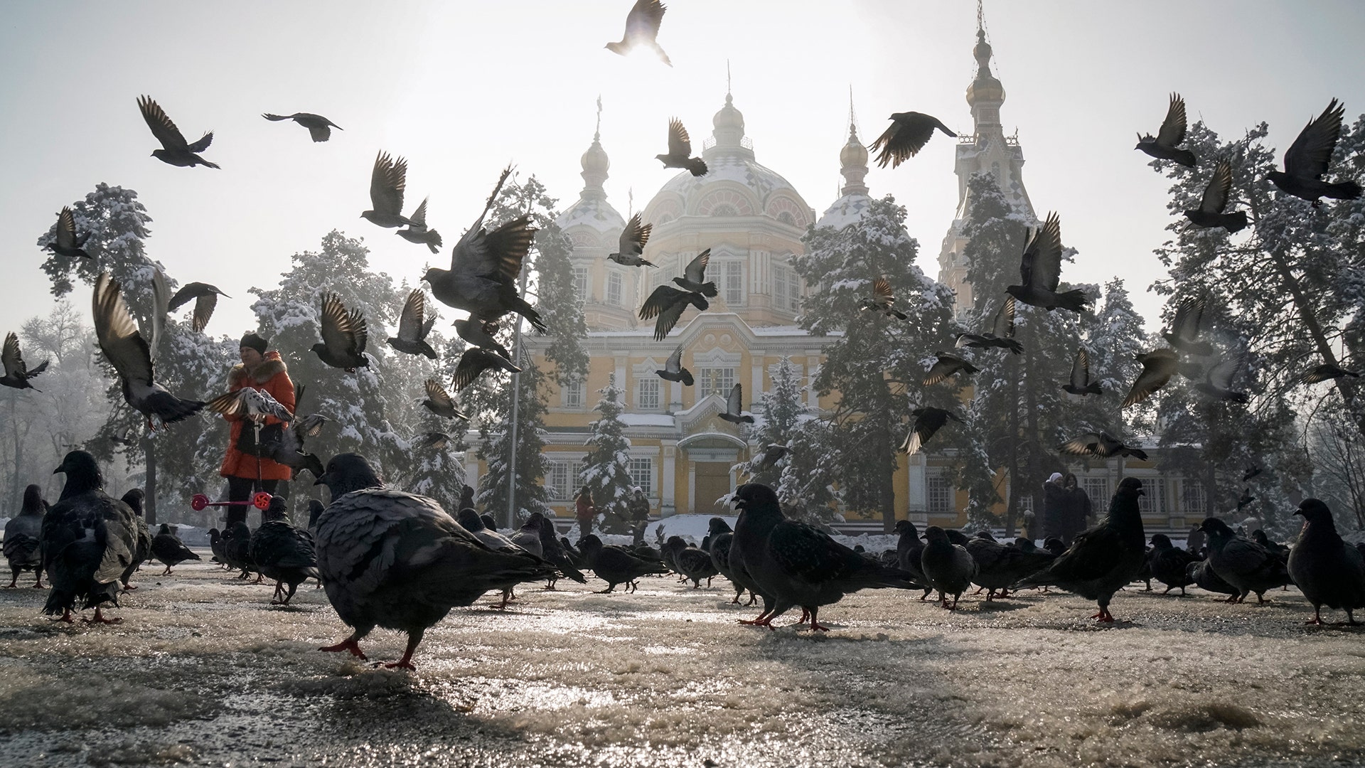 A woman feeds pigeons in front of an Orthodox cathedral on a sunny day in Almaty, Kazakhstan.