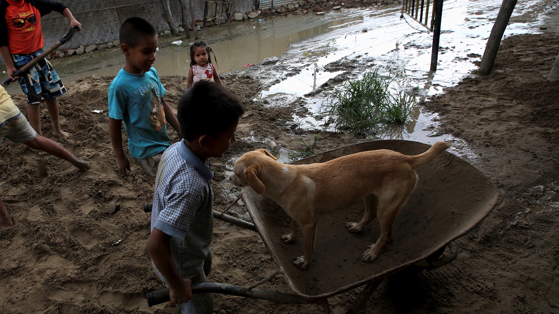 Children play with a dog next to their flooded home damaged after heavy rain in Castilla district of  Piura, northern Peru.