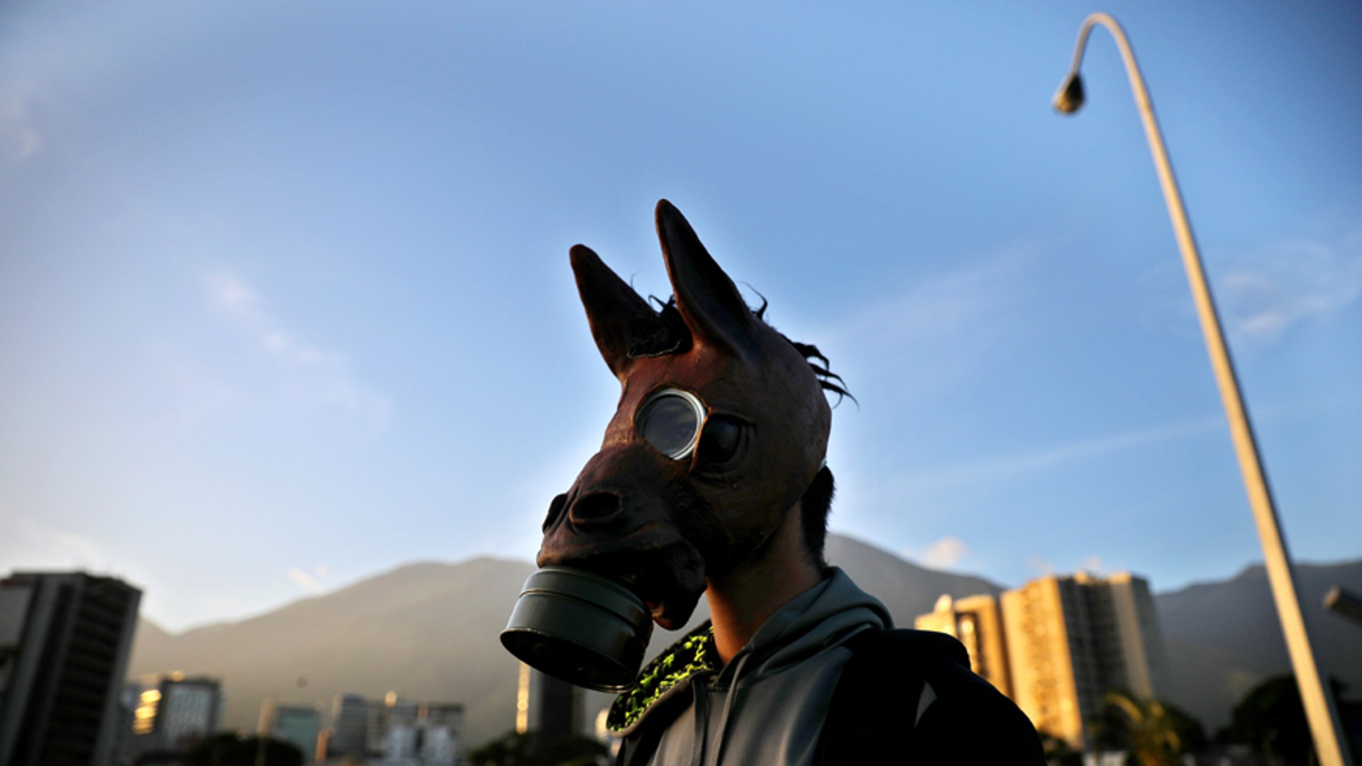 A protester wears a horse-themed mask over a tear gas mask during clashes with riot security forces