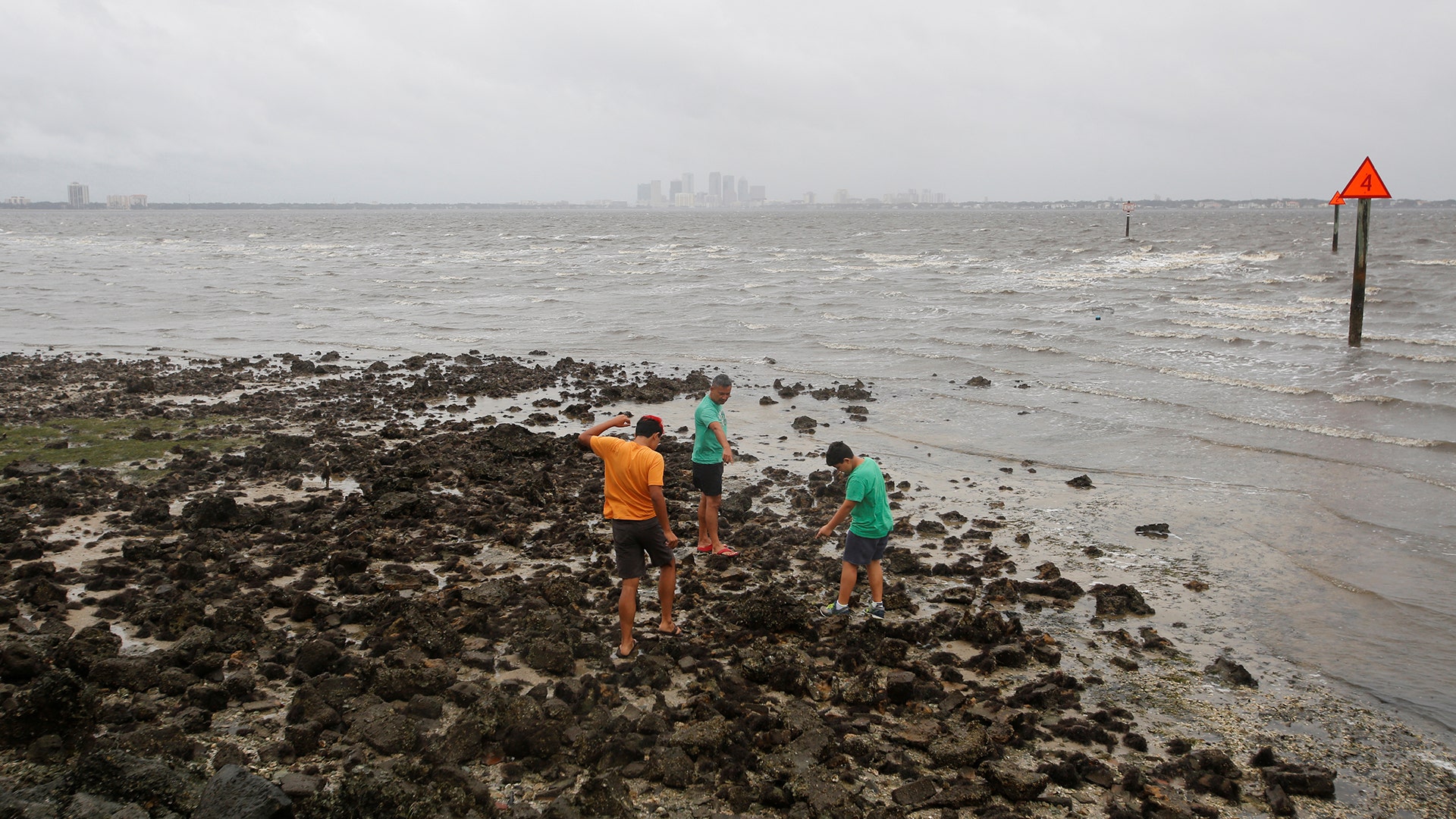 A man and his sons walk on the sea floor after water receded from Hillsborough Bay ahead of the arrival of Hurricane Irma in Tampa, Florida