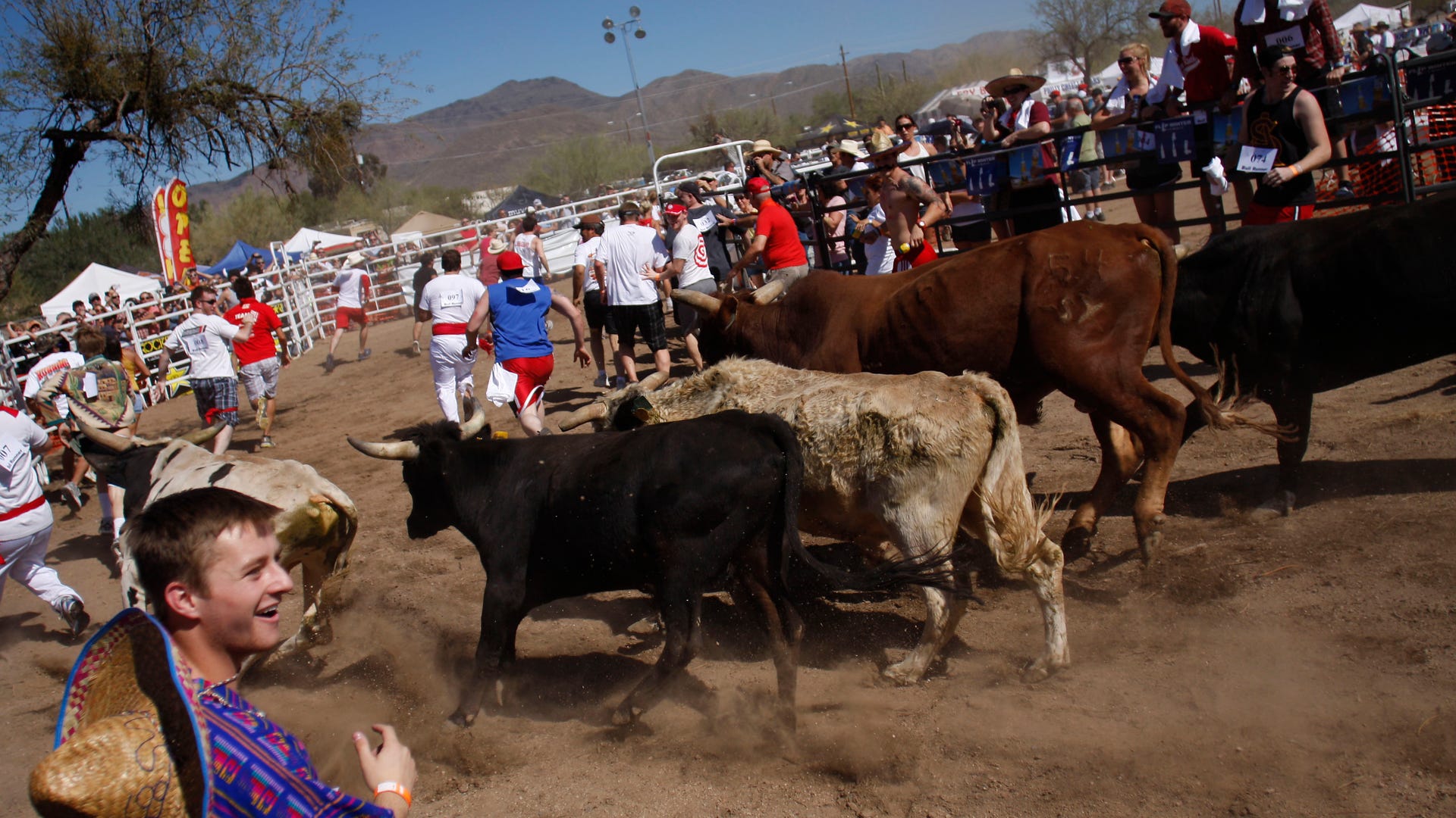 running_of_the_bulls_new_7