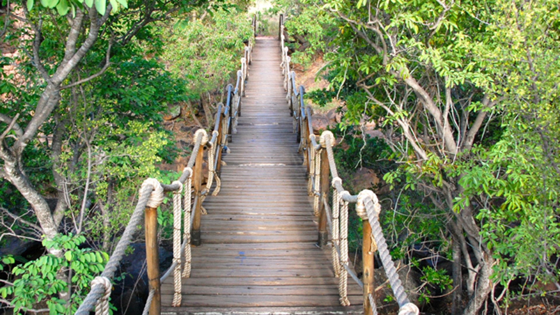 safari_lodge_bridgea