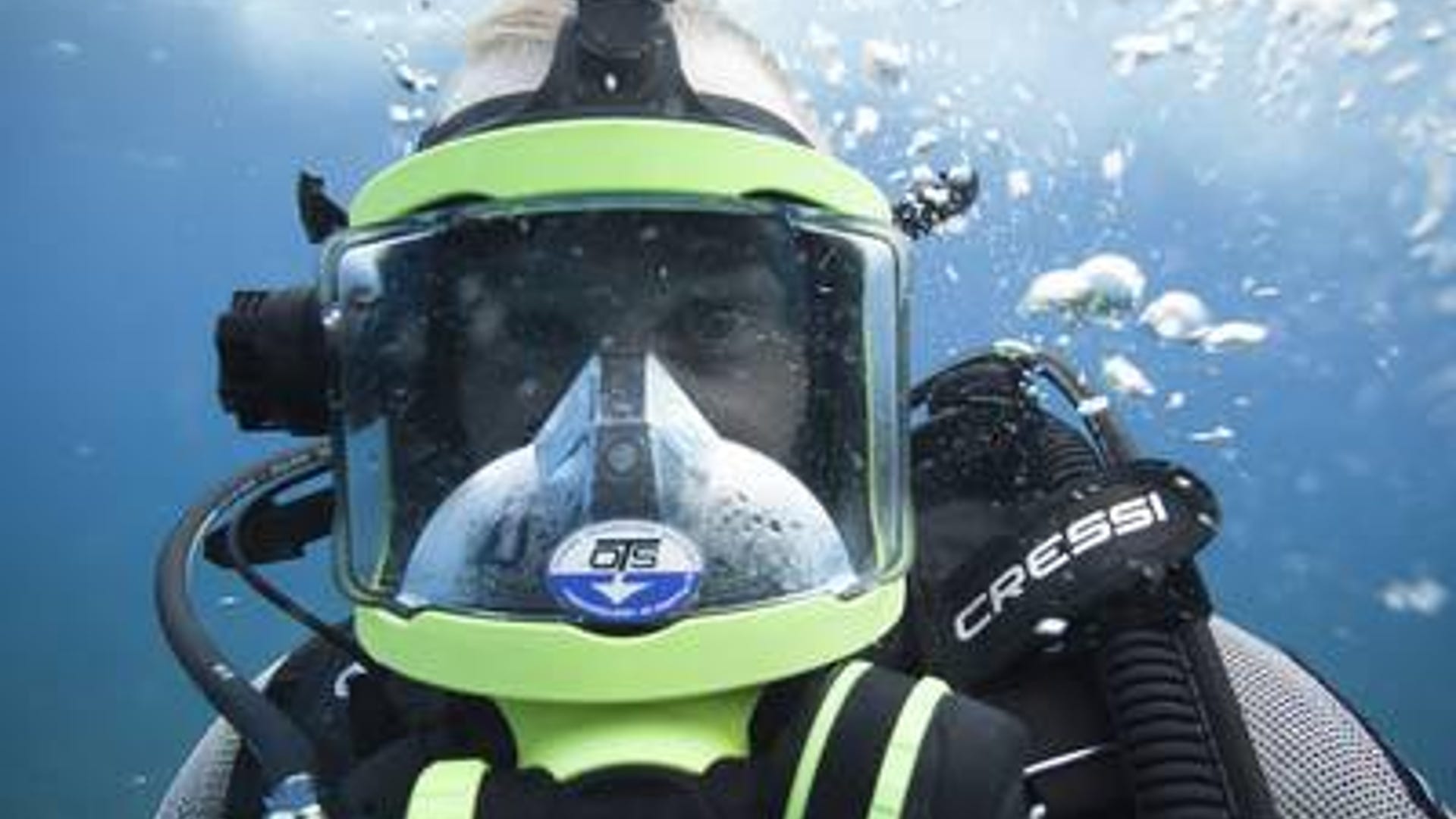 How well do you know your sharks? | Fox News