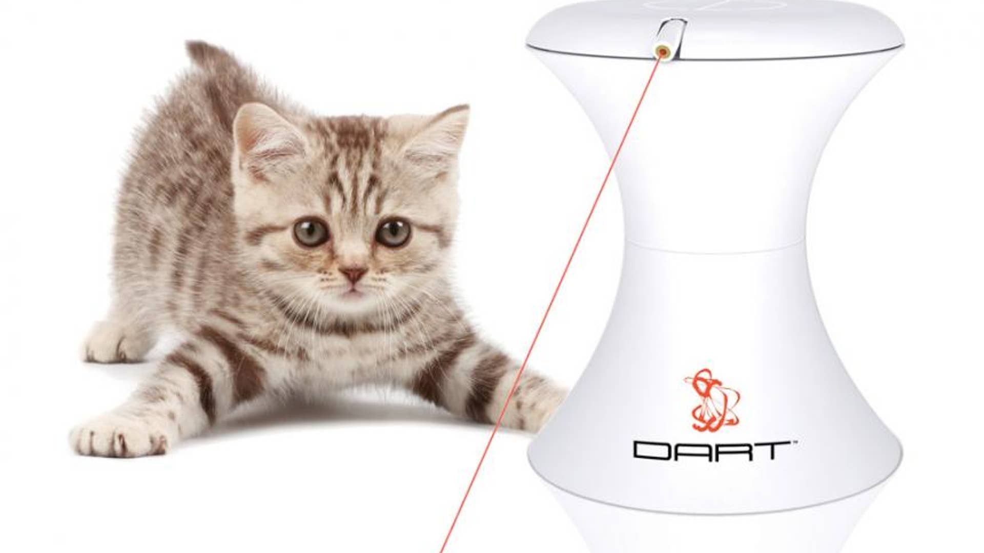 Pet’s Laser Chase Toy