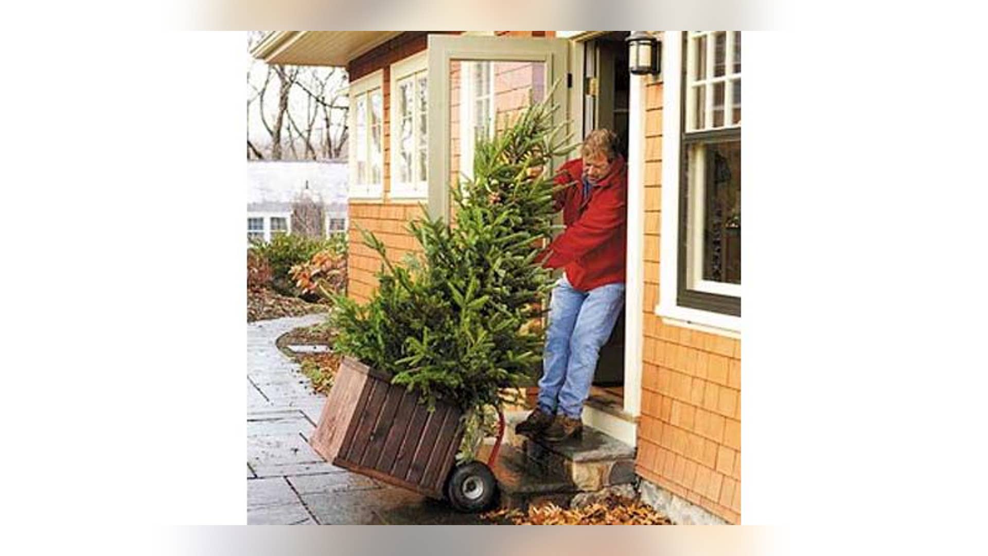 1. Christmas Tree Mold