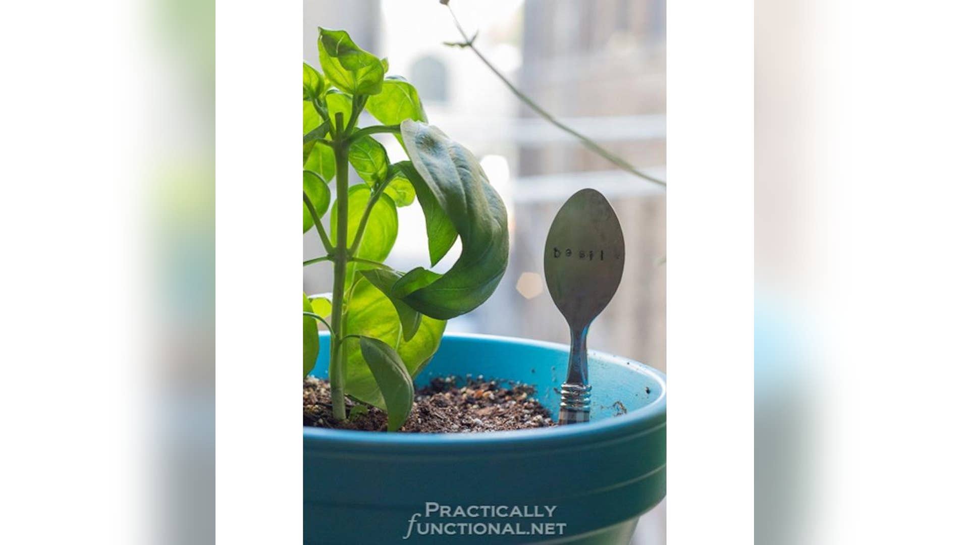 Spoon Garden Markers