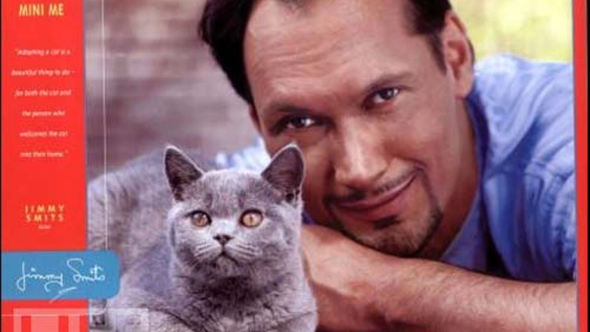 smits cat 