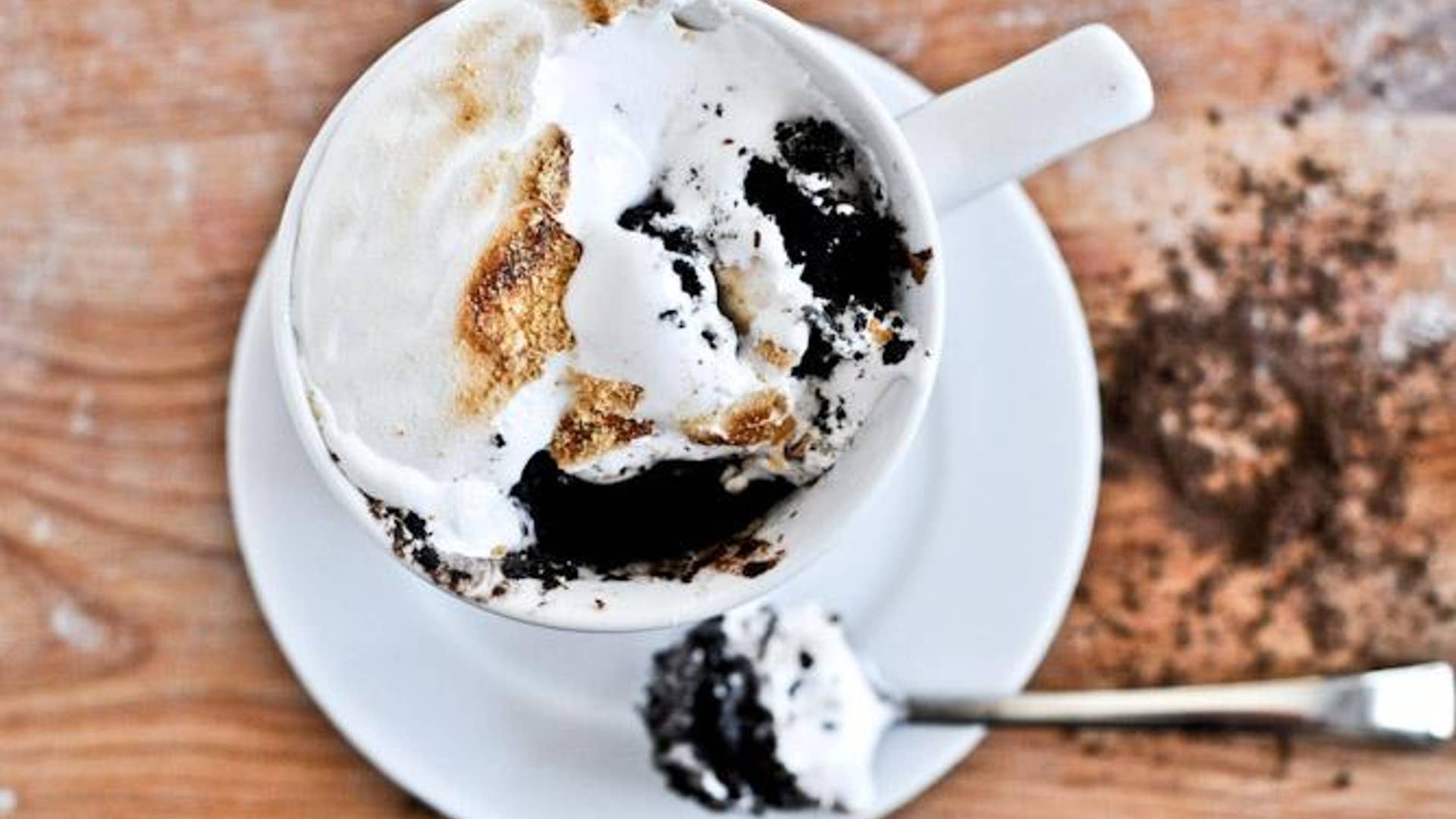 Chocolate Fudge S'more Mug Cake