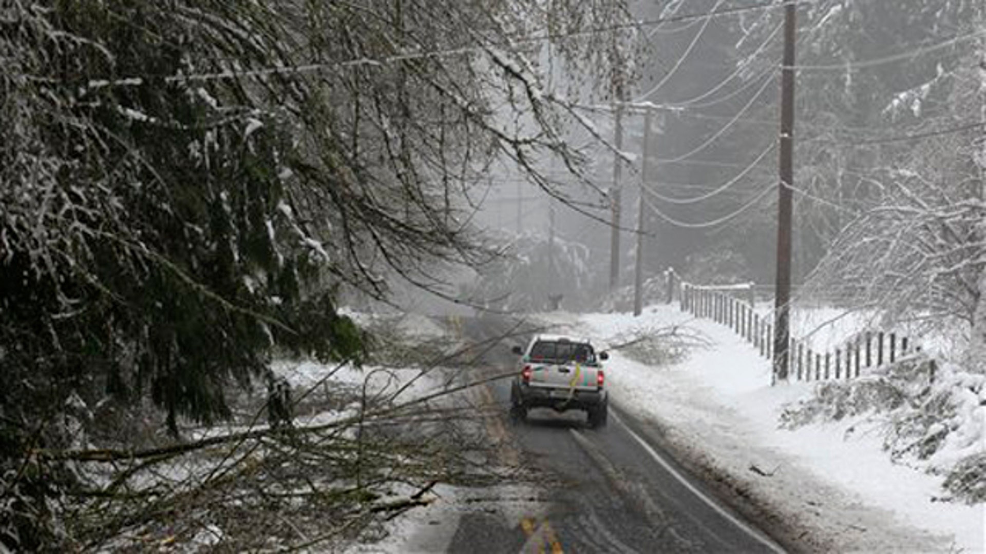 snowstormnw3