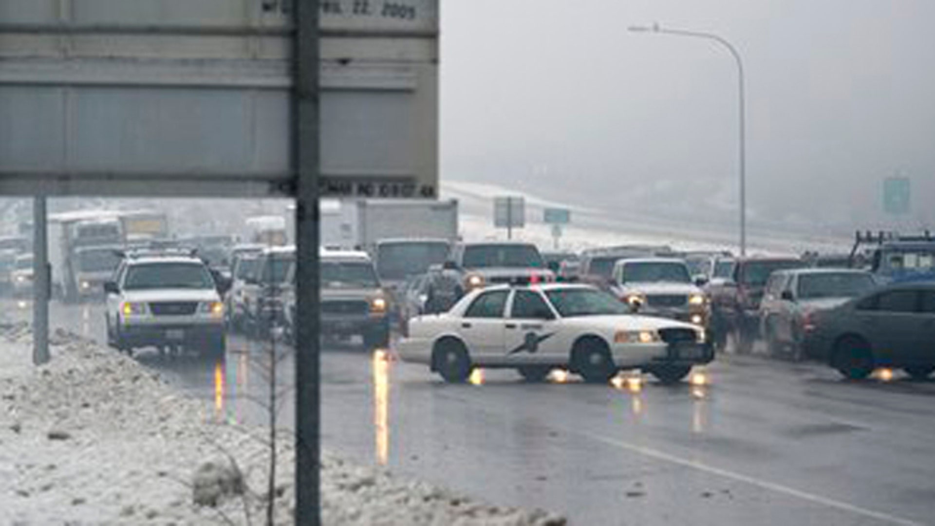 snowstormnw5
